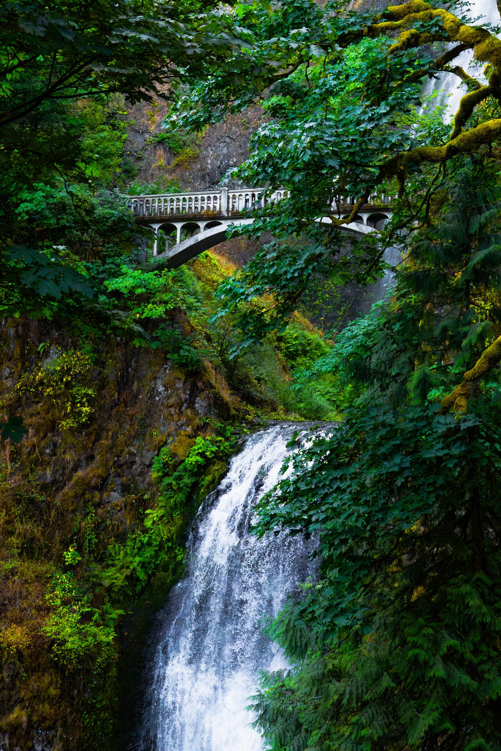 multnomah bridge