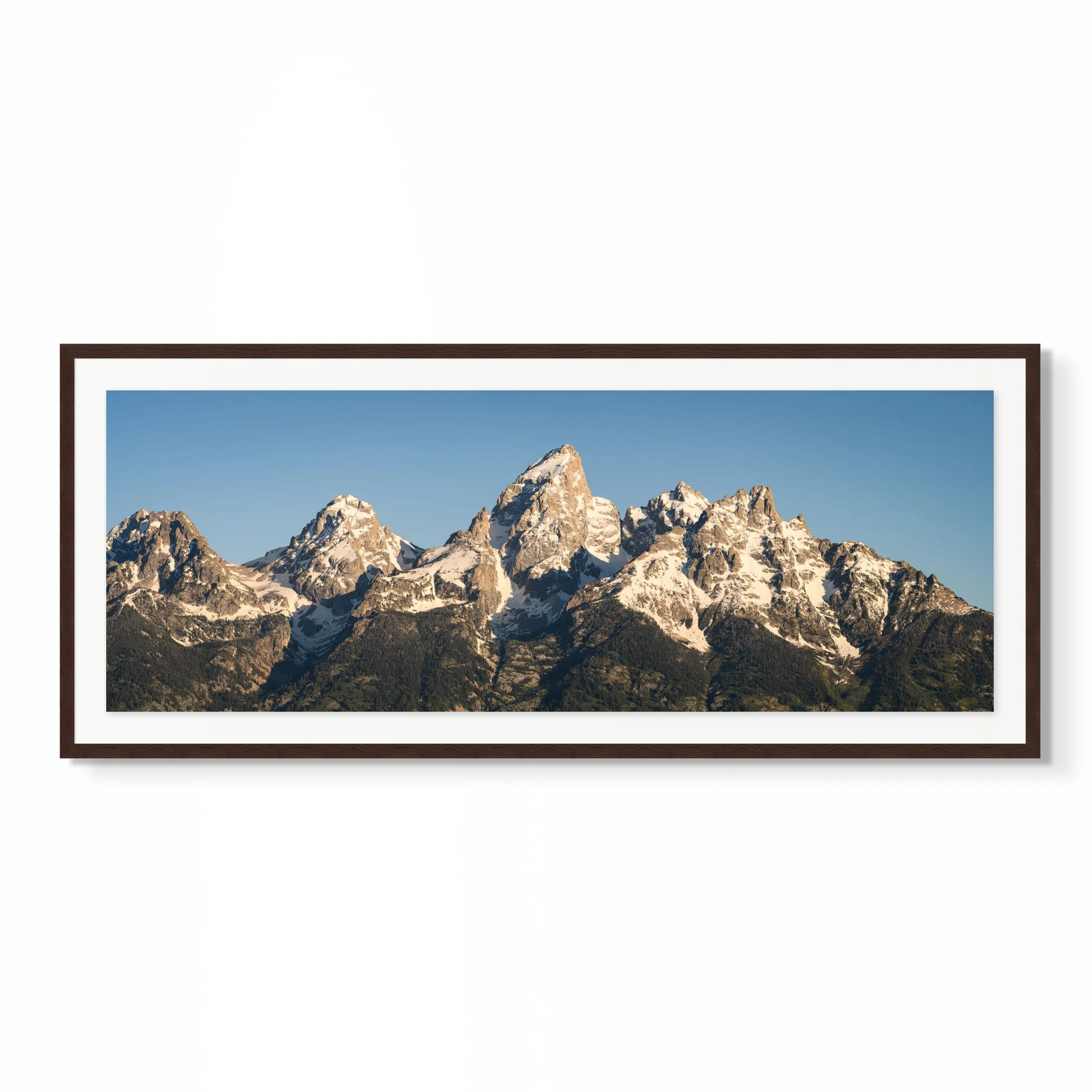 blank-full (30).jpg