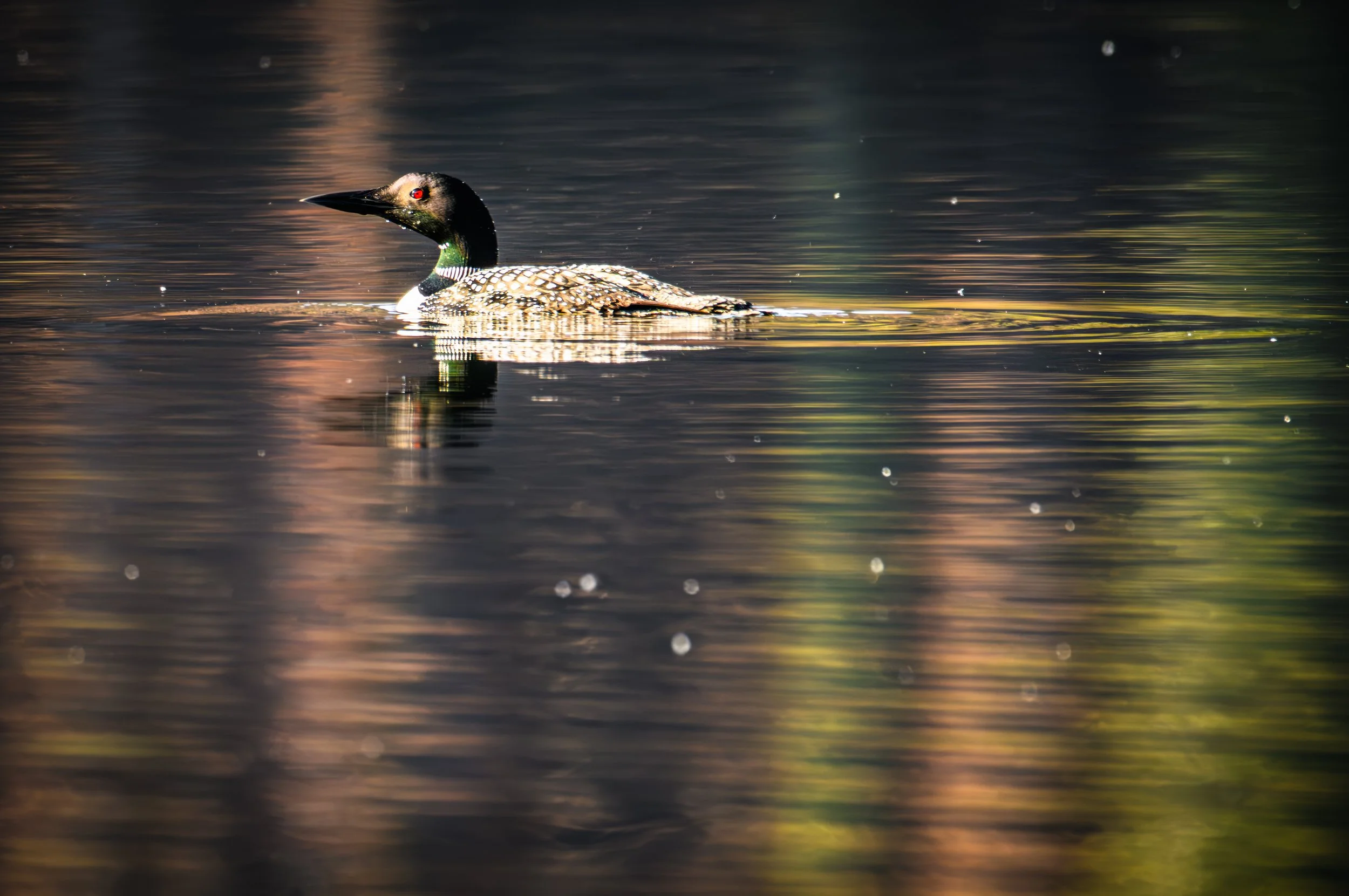 _AAP2867-Edit-2.jpg