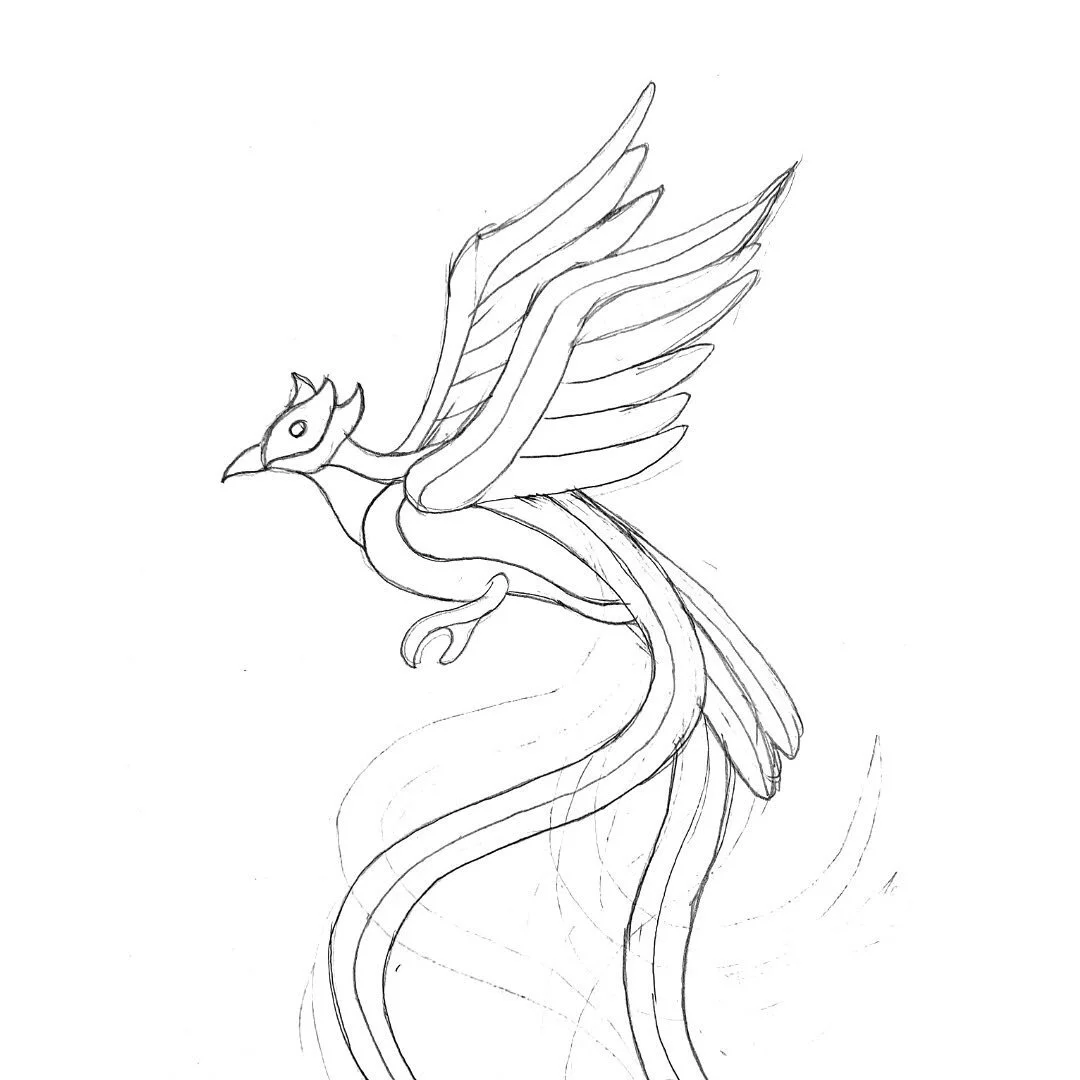 Behind the Scenes ✨ 

A look at the process behind the &ldquo;Quetzal&rdquo; artwork for @pachamama_coffee&rsquo;s Guatemala label. 

We loved playing with shapes and colors as we began to develop the visual language for the label art series. 

We st