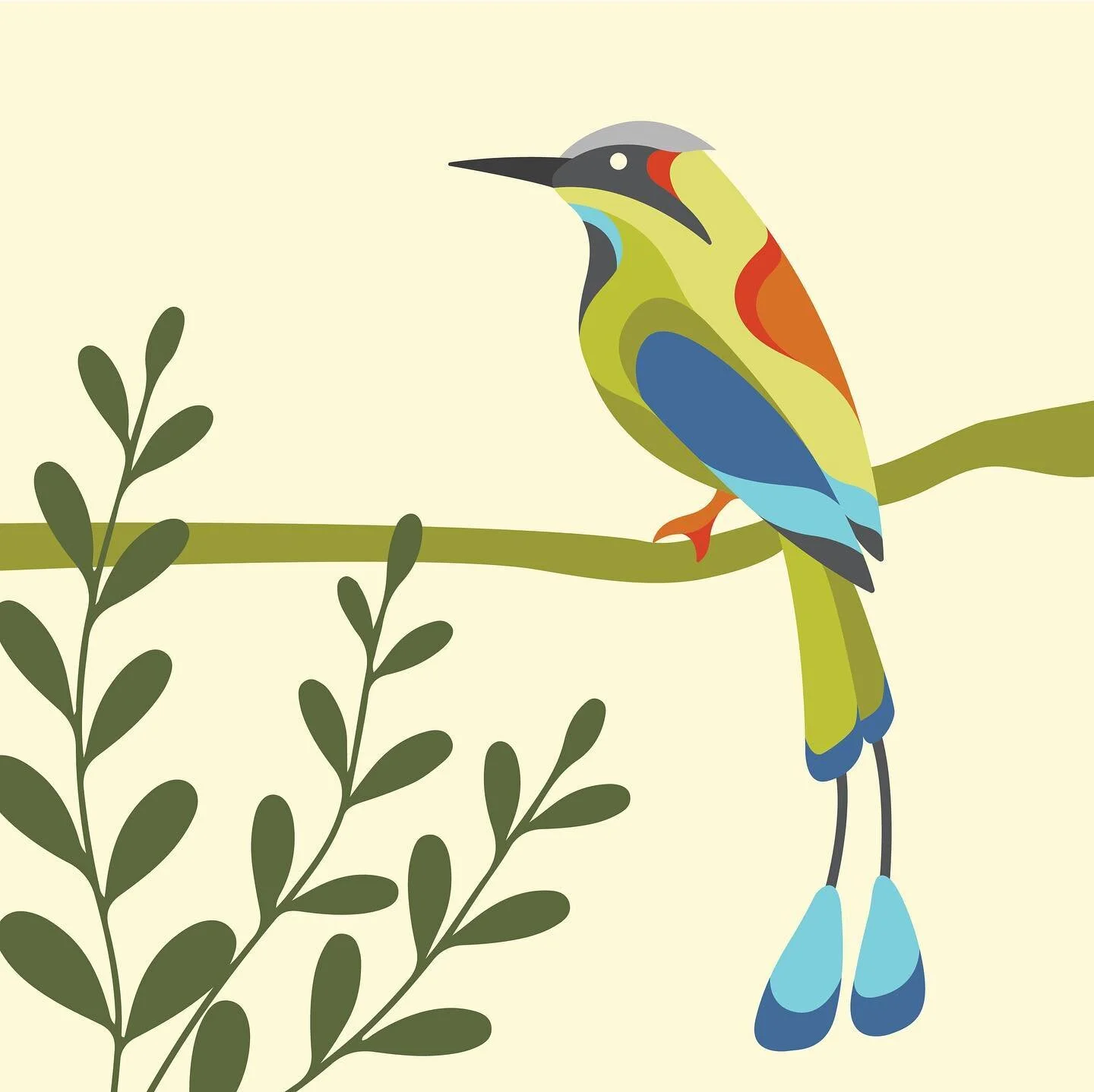 Pachamama Coffee Label Art Project
Nicaragua | Guardabarranco

To represent @pachamama_coffee&rsquo;s organic coffee from Nicaragua, we chose the Guardabarranco. It is the Nicaraguan National Bird: Barranquero, &ldquo;from the valley,&rdquo; or Guard