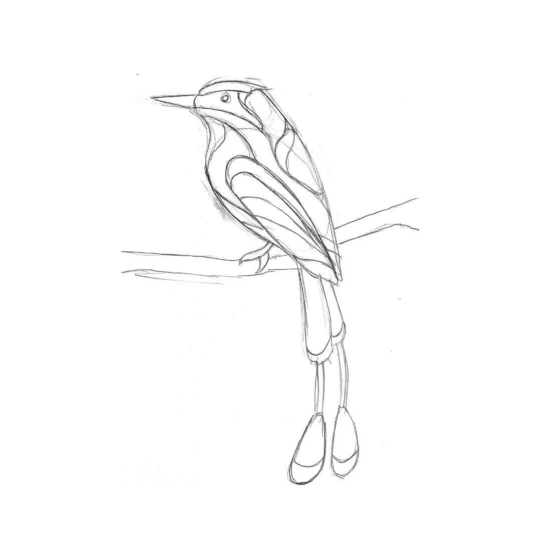 Behind the Scenes ✨ 

A look at the process behind the &ldquo;Guardabbaranco&rdquo; artwork for @pachamama_coffee&rsquo;s Nicaragua label. 

We loved playing with shapes and colors as we began to develop the visual language for the label art series. 