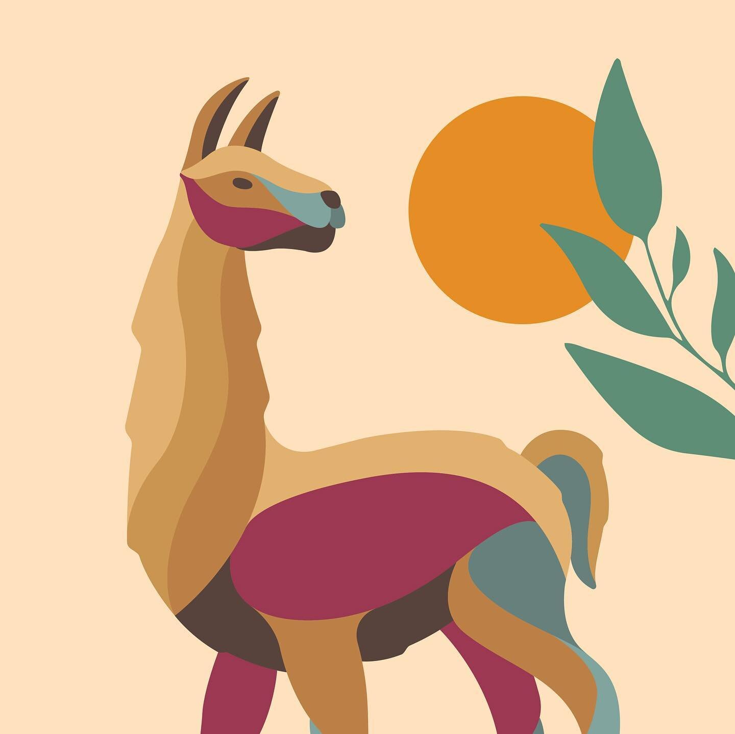 Pachamama Coffee Label Art Project
Peru | Llama 

We asked Vladimir, @pachamama_coffee&rsquo;s board representative from COCLA cooperative in Peru, what animal would best represent their coffee. Without hesitation, he said the llama.

The llama was o