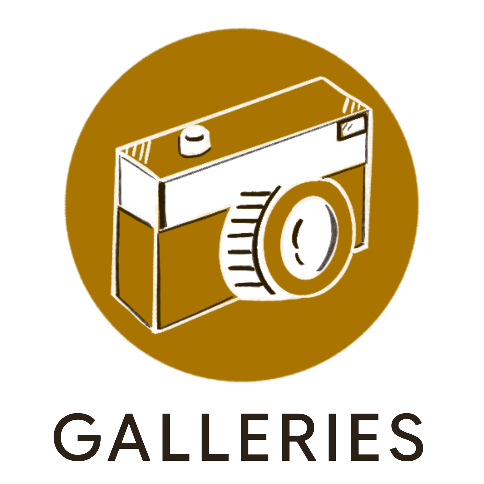 Camera Icon with Link to our Photo Galleries
