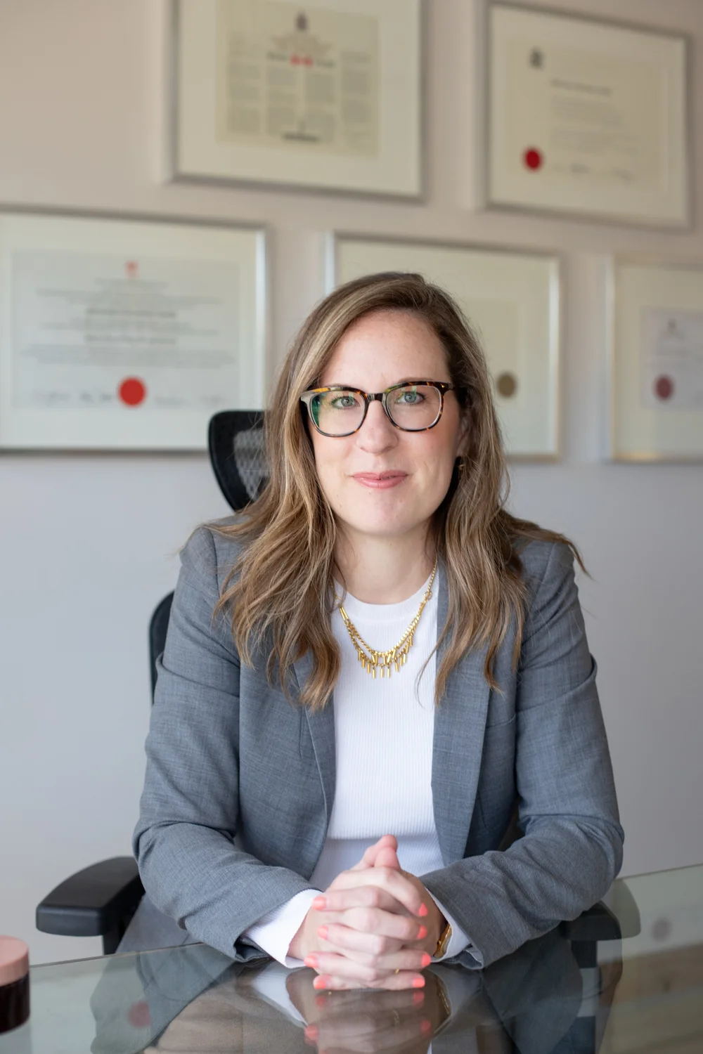 smith immigration law