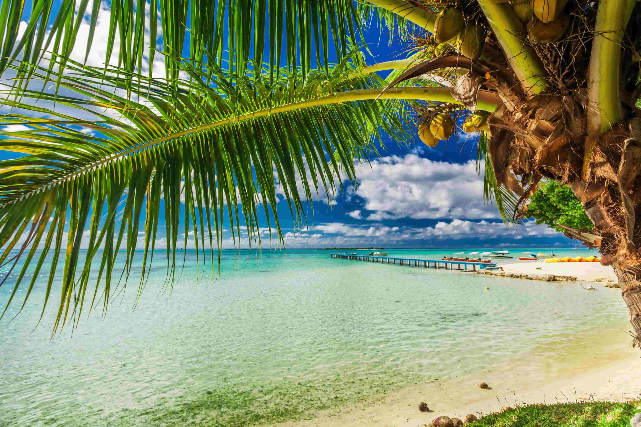 Lighthouse PR delivering client growth