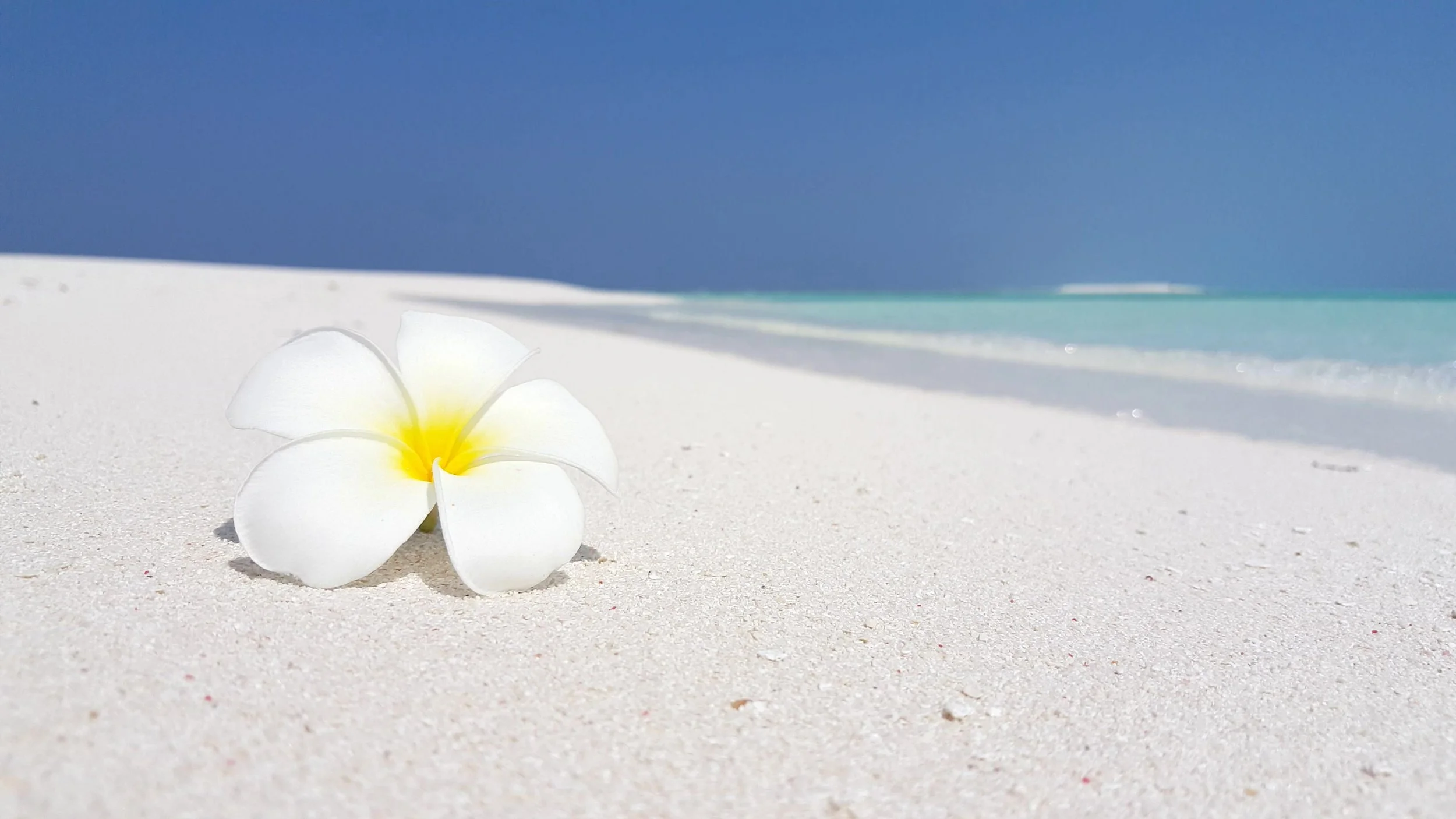 Creative Trends in 2026