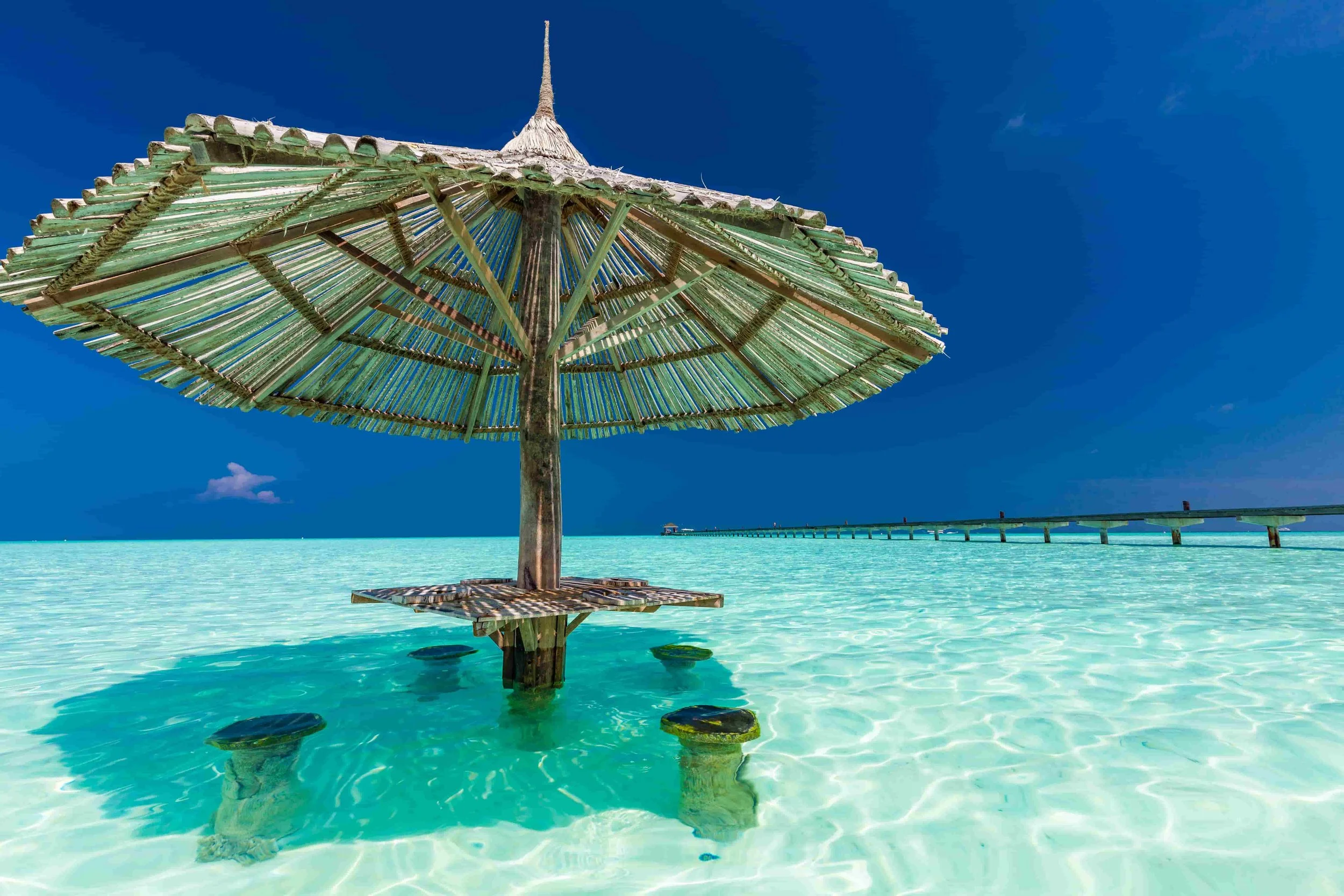 Despite what you may see in Movies, never say - No Comment.