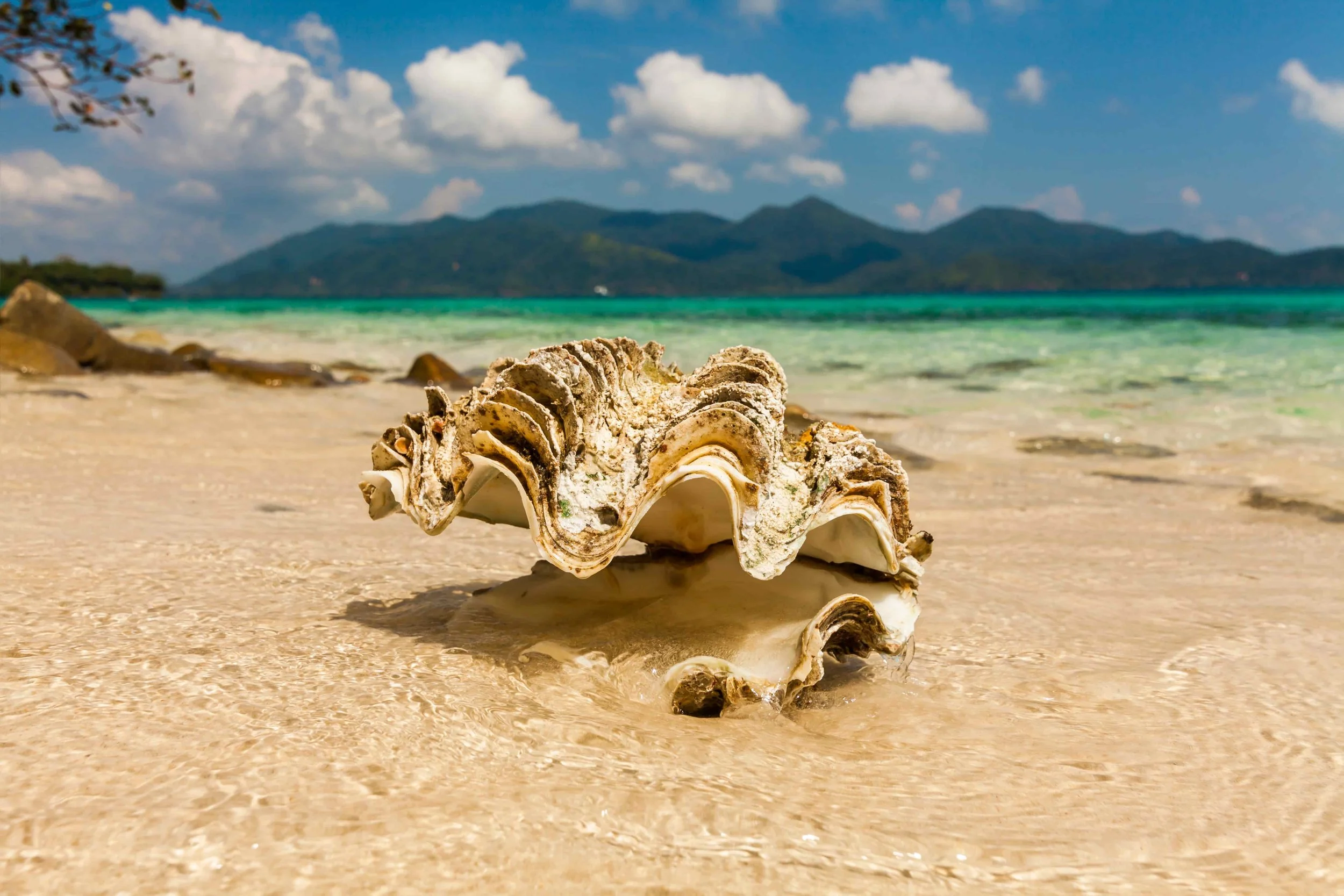 Why you must have a strong media relations team.