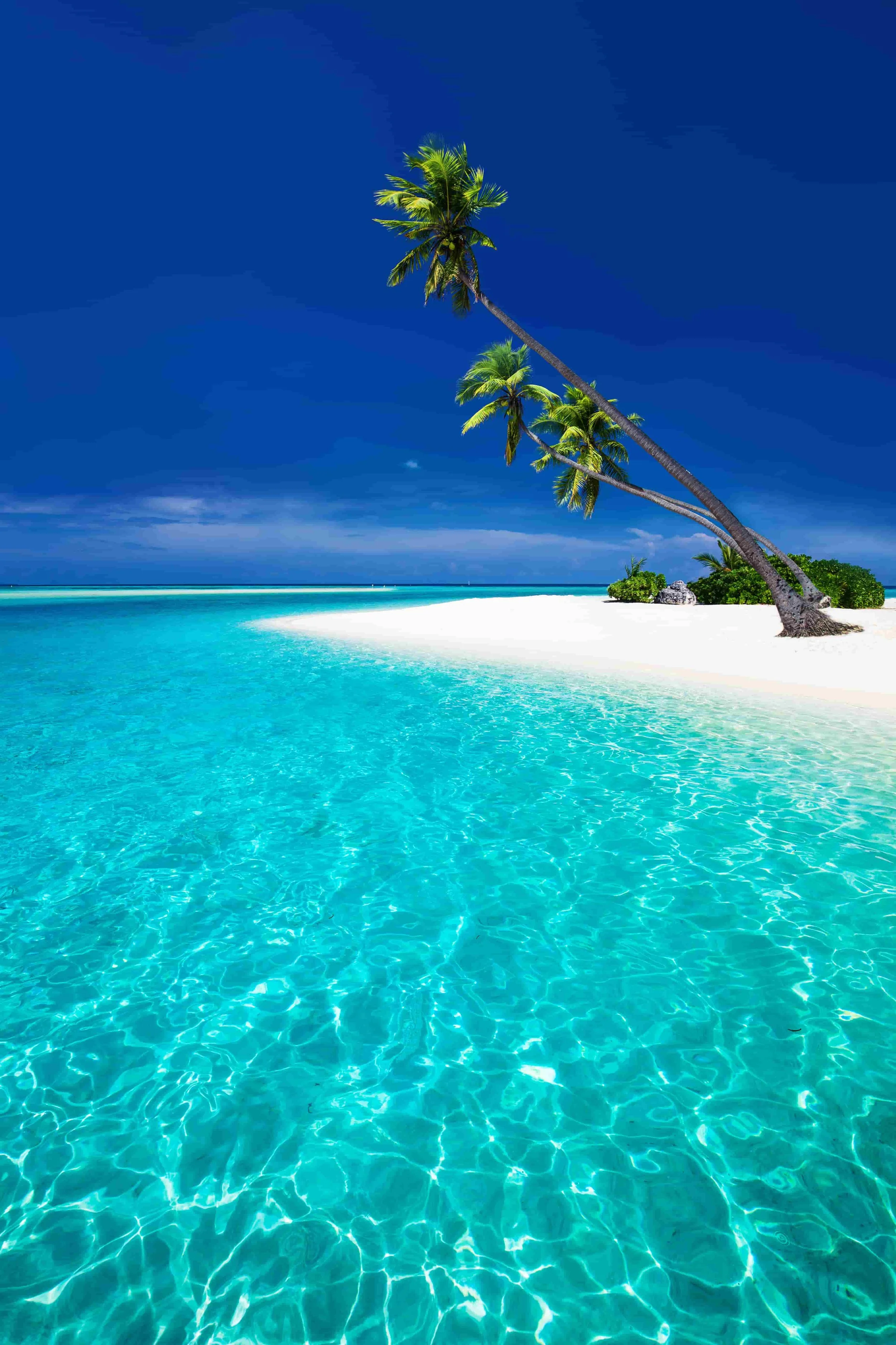 Podcasts and webinars are not ‘content formats’.