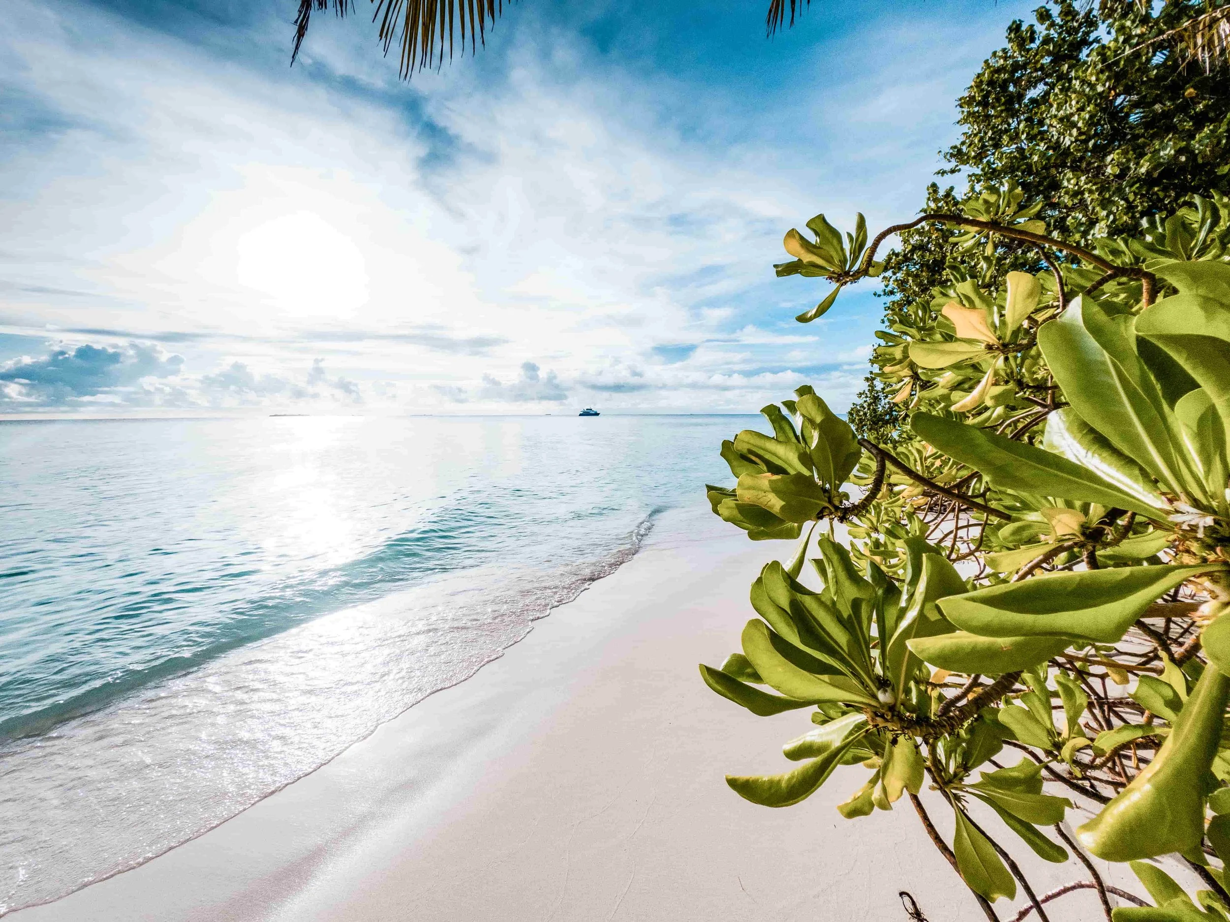 Email and newsletters in 2026 are still effective, but database blasts are dying.