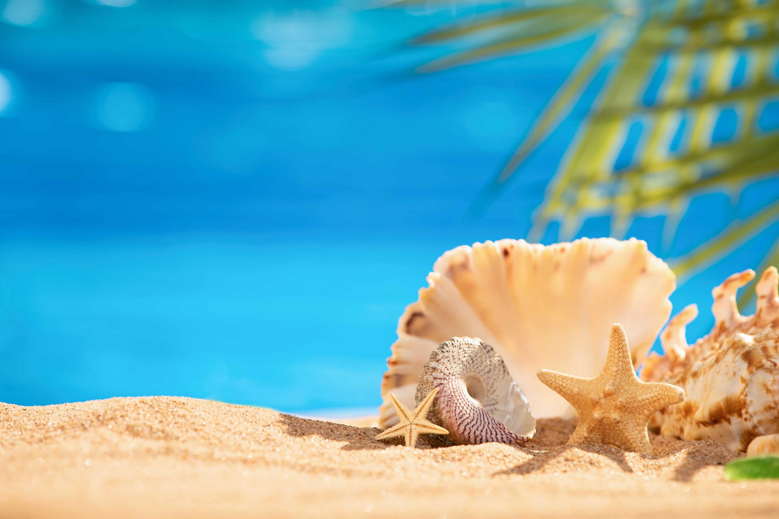 CSR &amp; ESG with purpose: how to build projects that matter (and don’t feel like marketing)