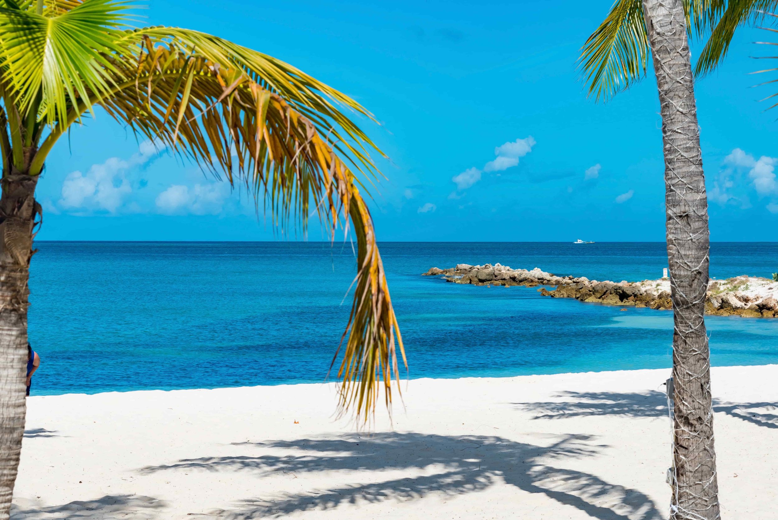 The Productivity Paradox: Why AI Hasn't Made Us Work Harder (And Probably Never Will)