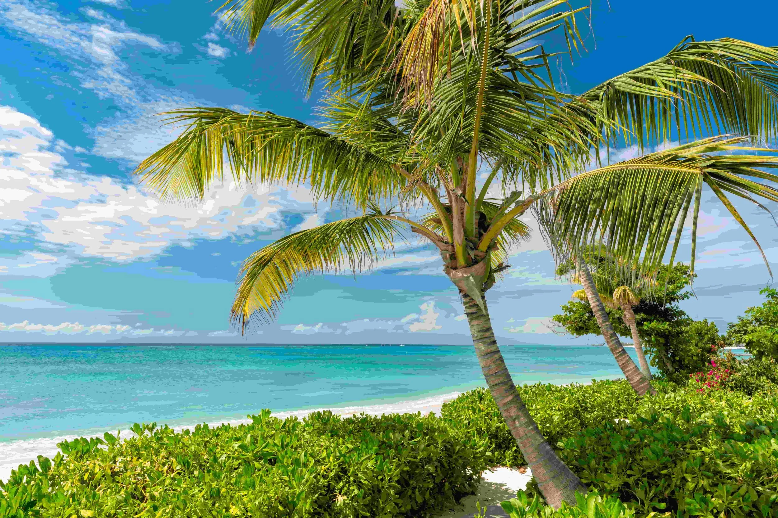 Why Business Events Are Still the Most Underrated Growth Lever