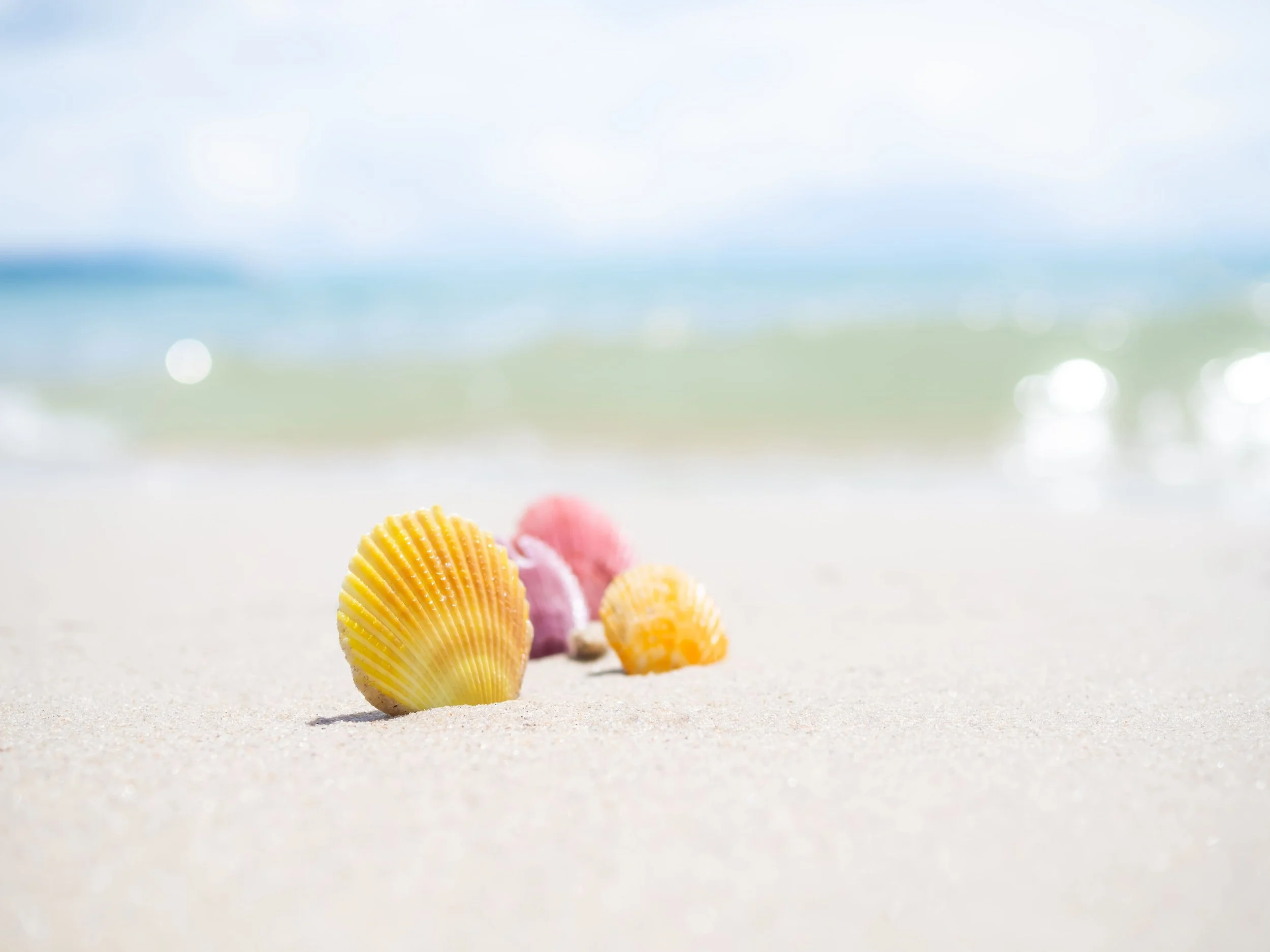 The biggest website mistake businesses make: building for looks, not for discovery