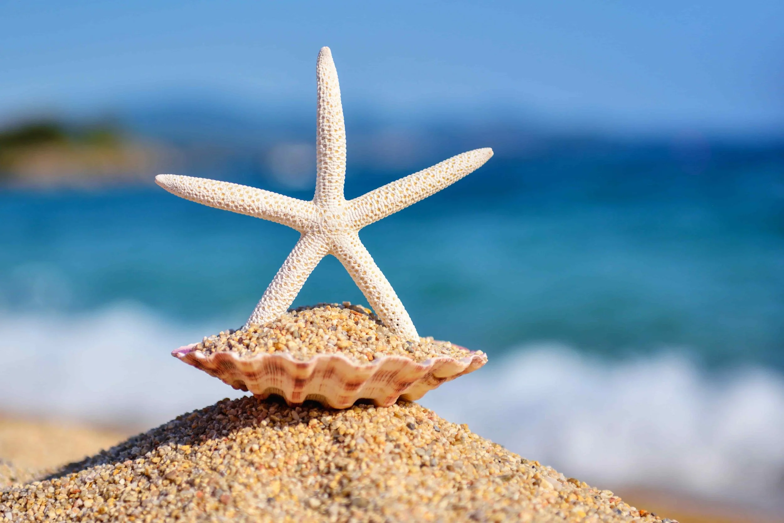 Why Most CEOs Still Think Communication is "Soft" (While Their Businesses Quietly Bleed)