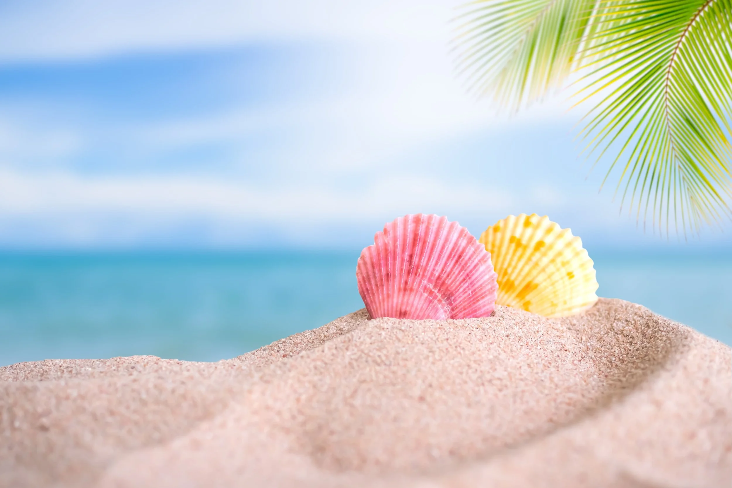 How to Succeed at Digital Marketing in Romania (Not the Textbook Version—The Real One)