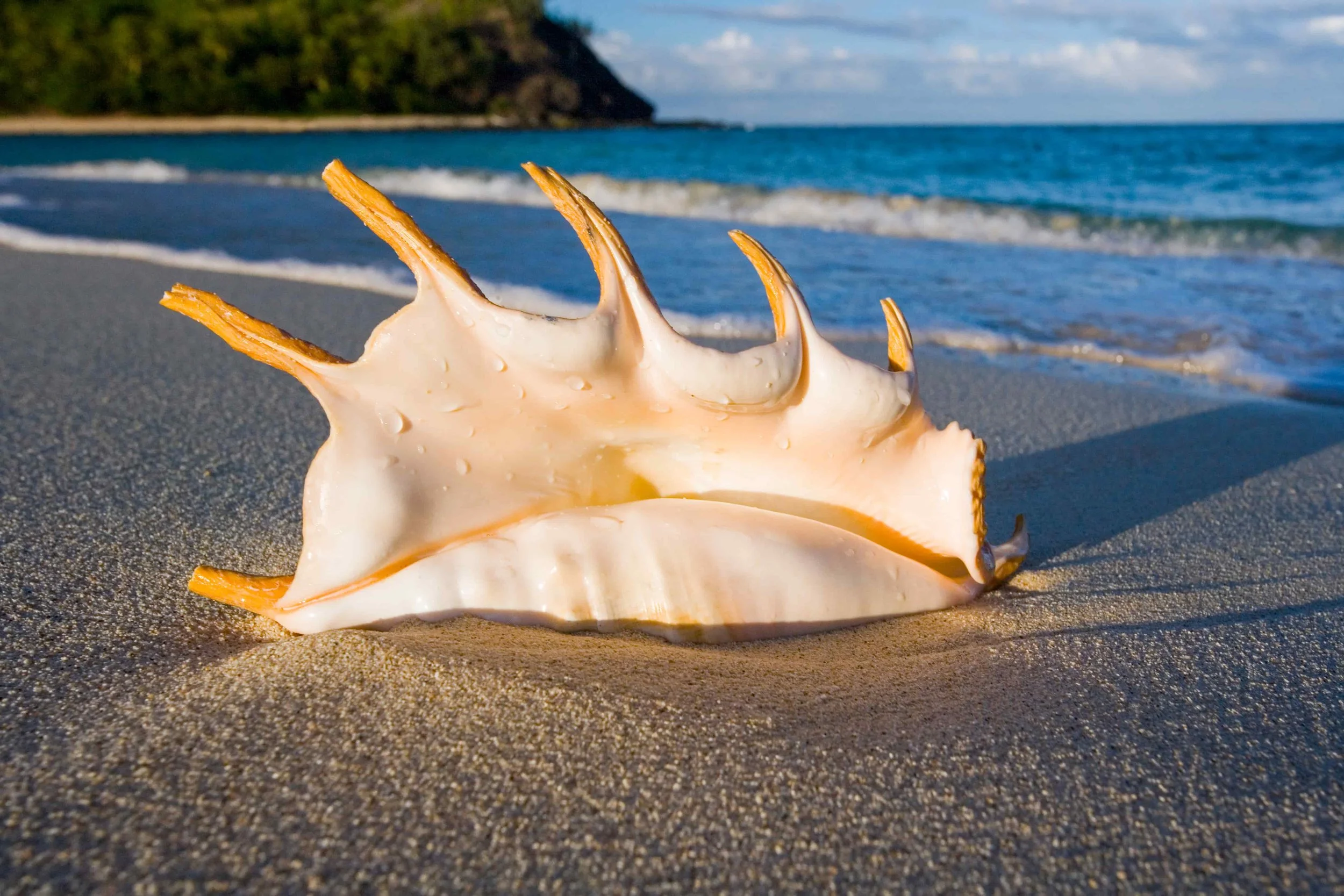 How Growth Marketing Actually Works (And Why Most Companies Get It Spectacularly Wrong)