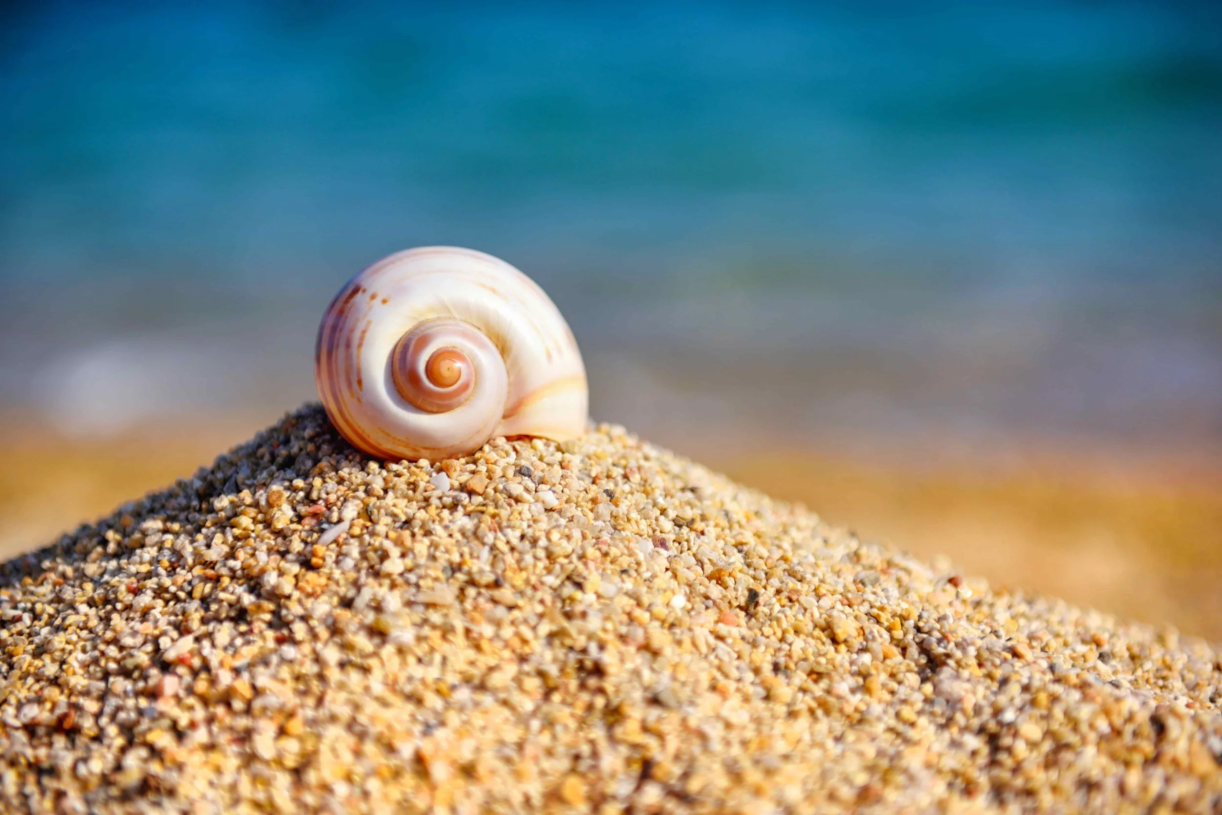 Lighthouse PR: Setting the Benchmark for Award-Winning Public Relations in Romania.