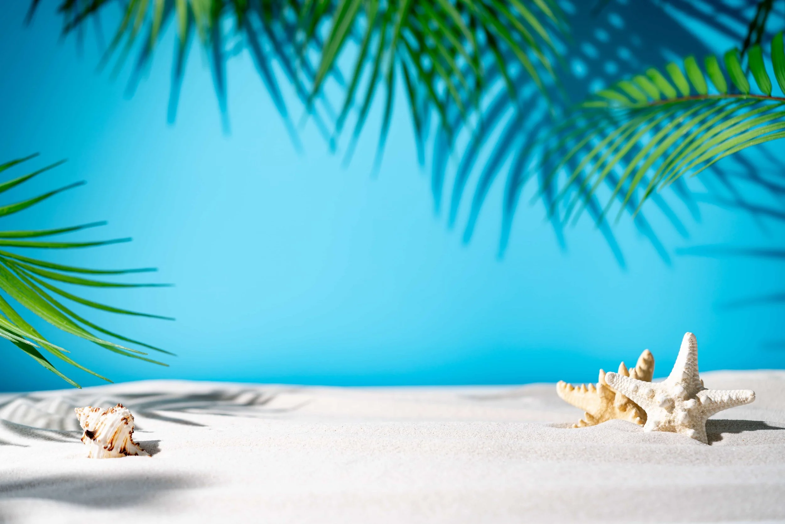 Lighthouse PR: Taking Media Relations to the Next Level Across Central and Southeastern Europe