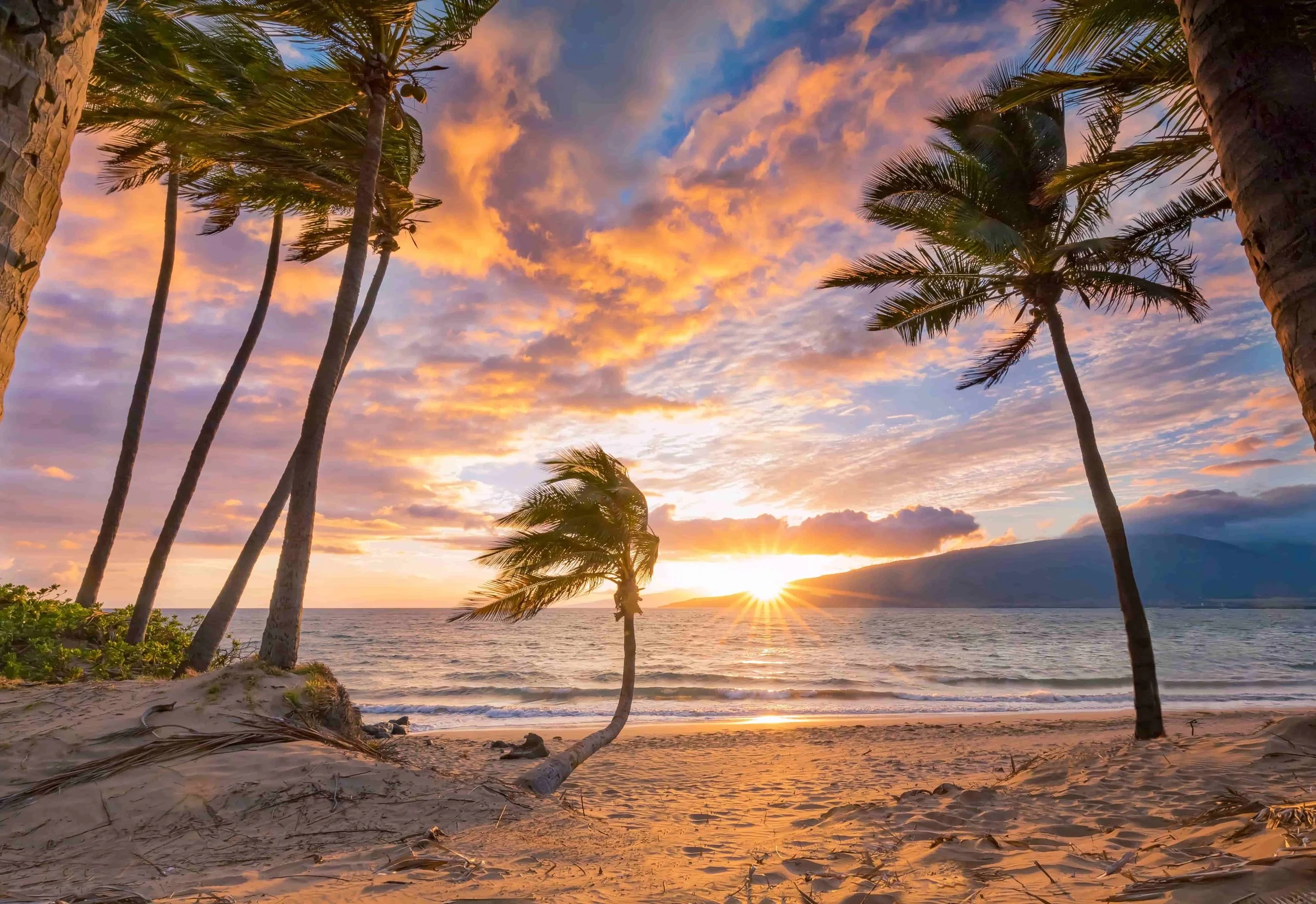 How Strategic Communication Turns Social Platforms into Growth Engines for Brands