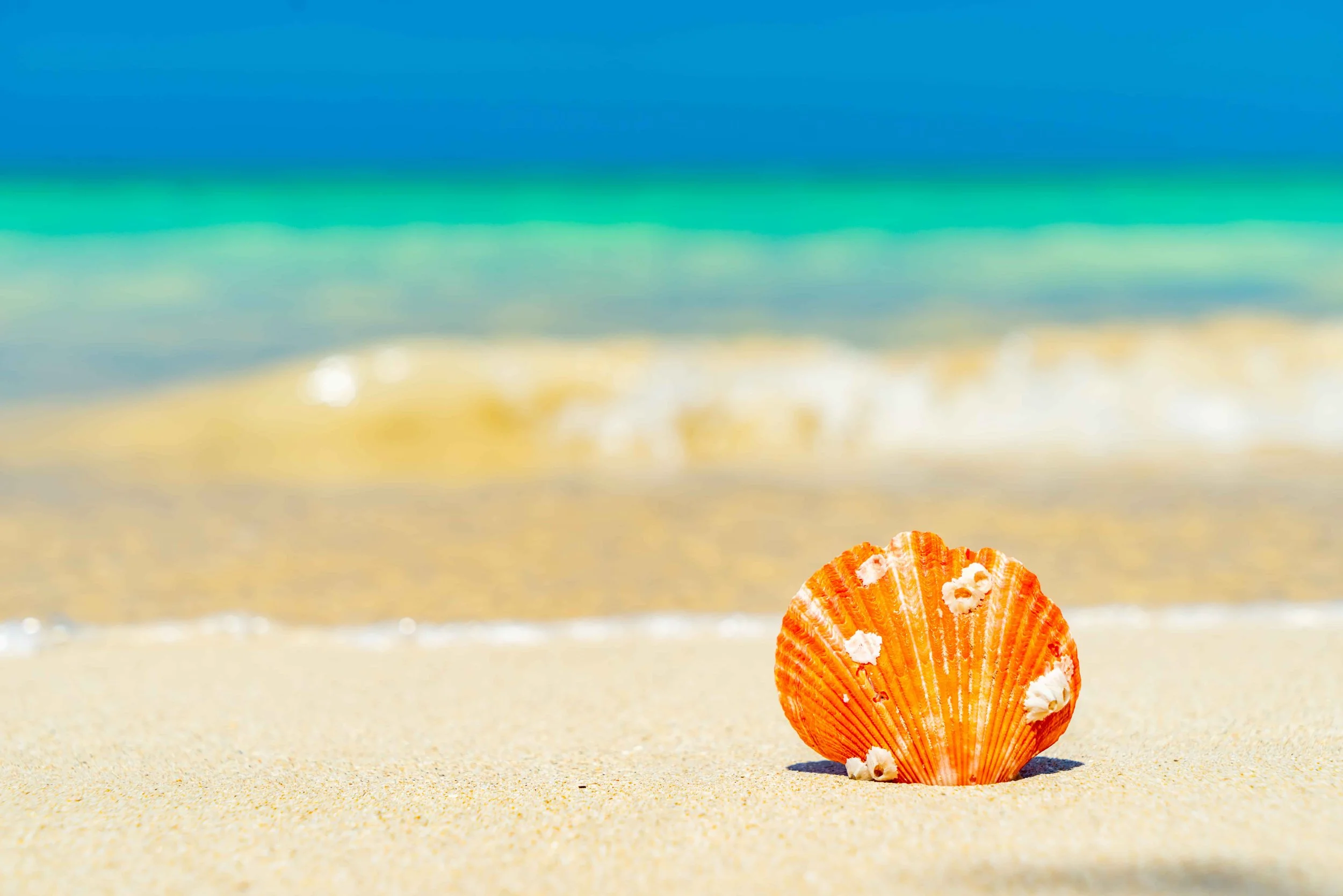 Top 10 PR Trends That Will Shape the Future of the Industry