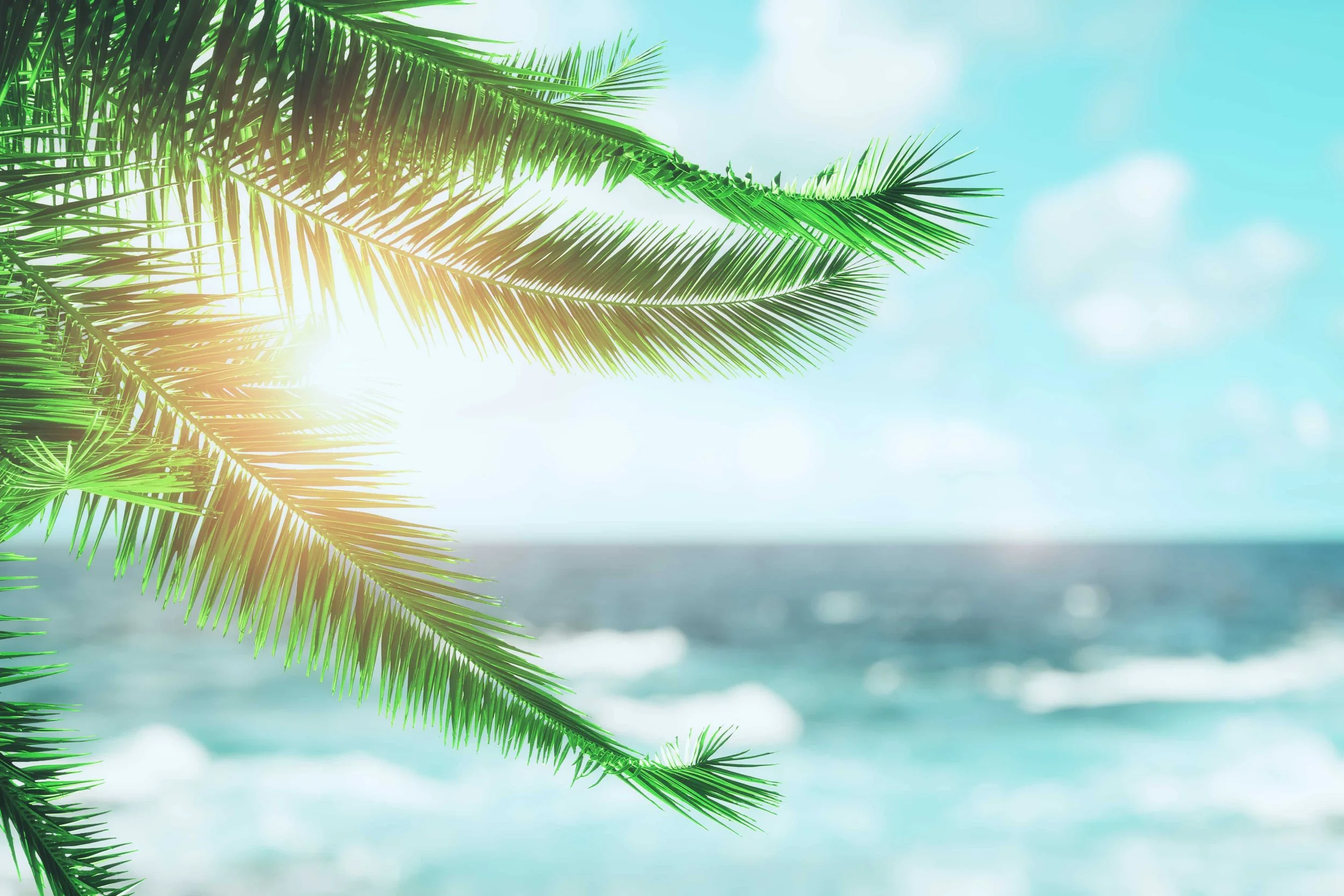 2026 SEO and AI Search Trends Are Set to Reshape the Industry.