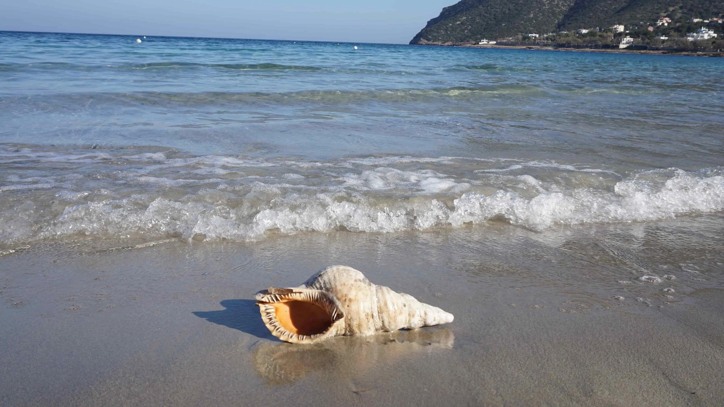 Disinformation is a Management Risk: How Leaders Should Read the Web Today