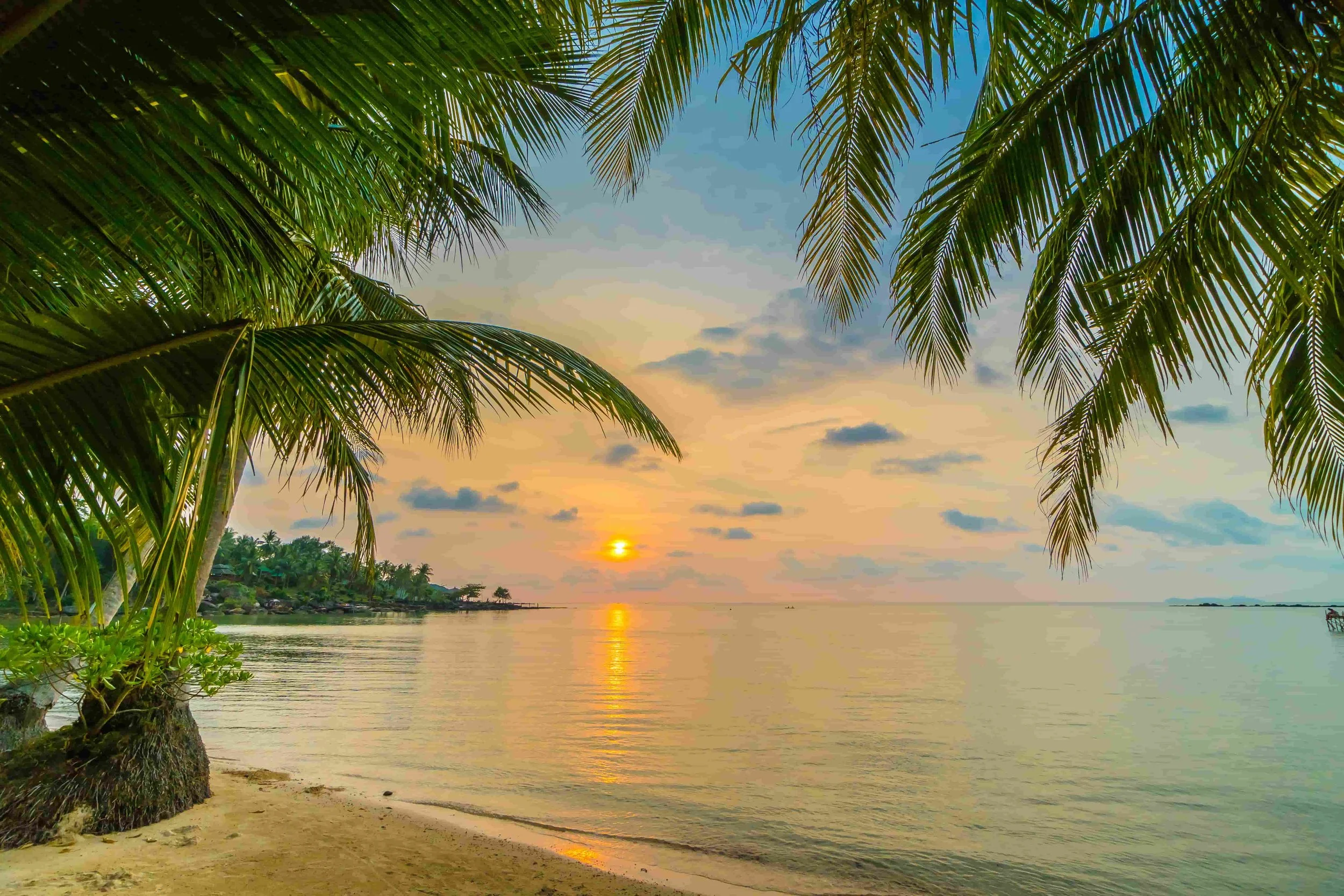 How to Create the Perfect Brand Campaign