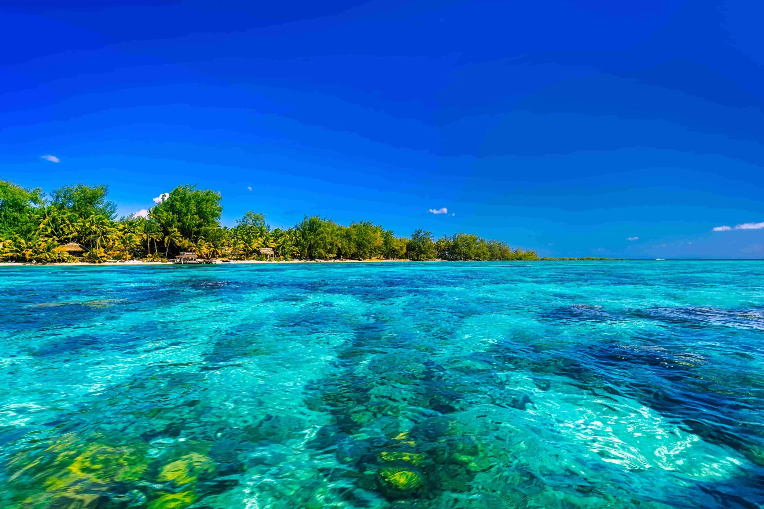 What Are the Most Effective B2B Marketing Tactics Today