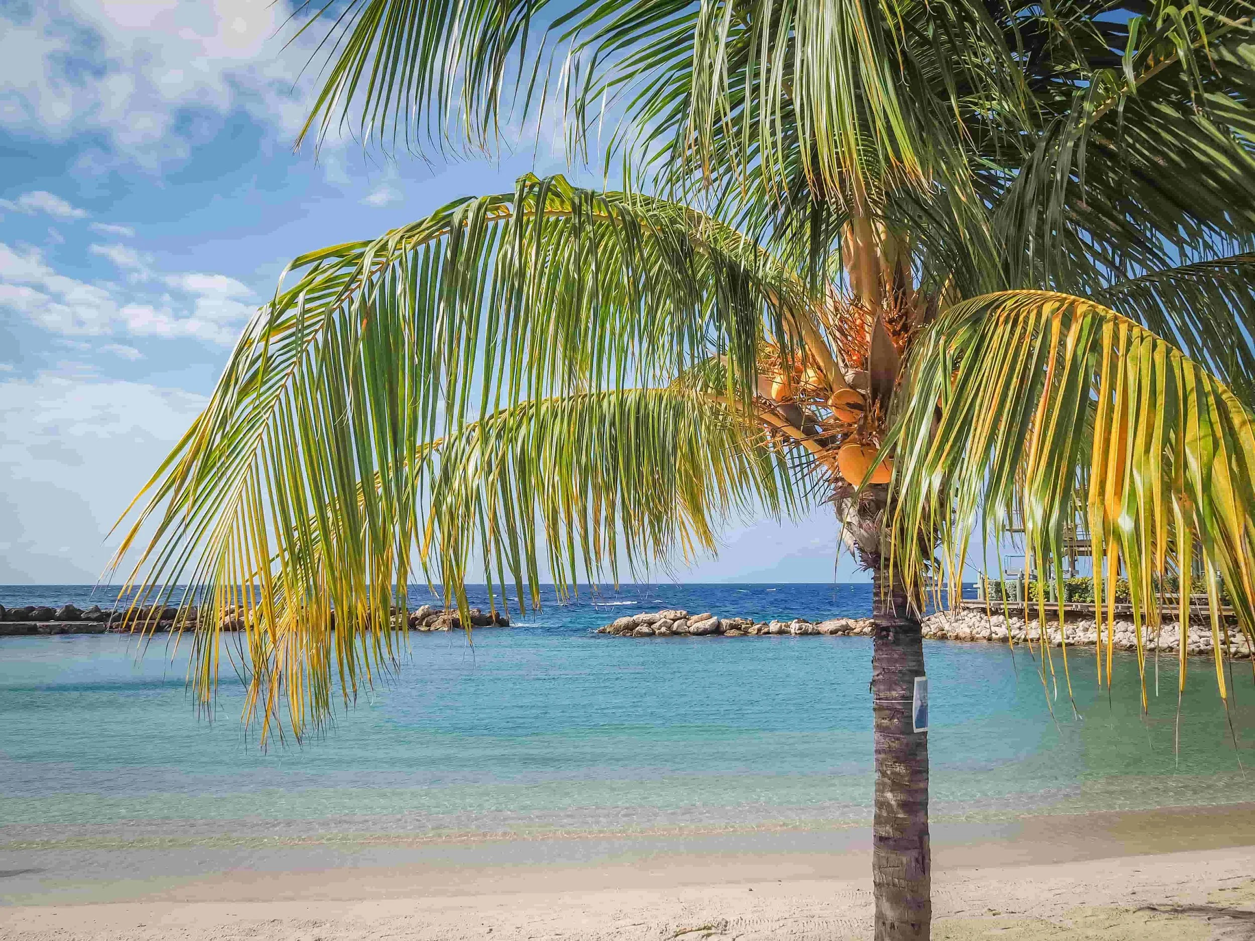 What AI Cannot Replace: The Case for Human Judgement in Marketing