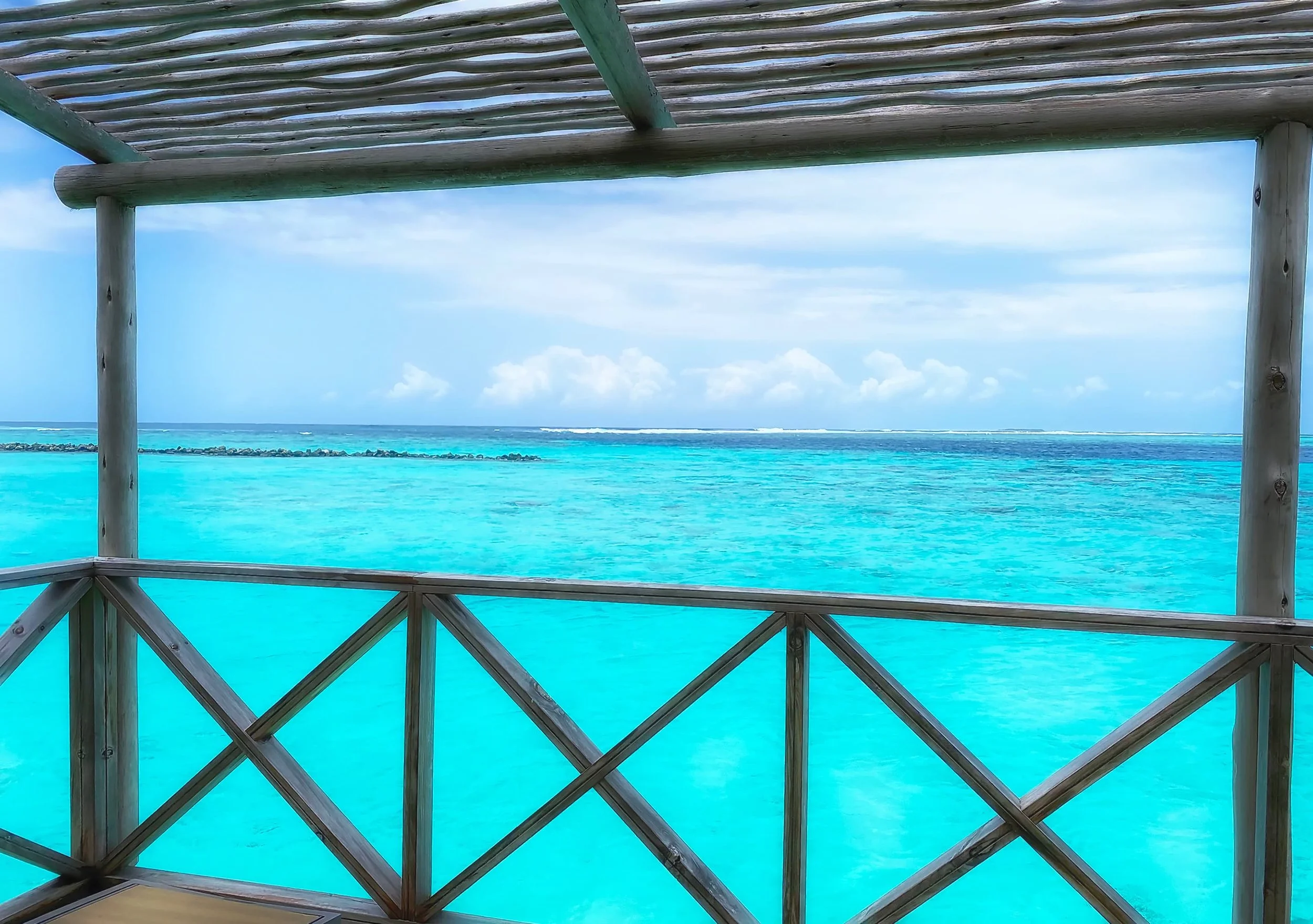 The CEO Who Said Nothing — And Lost Everything