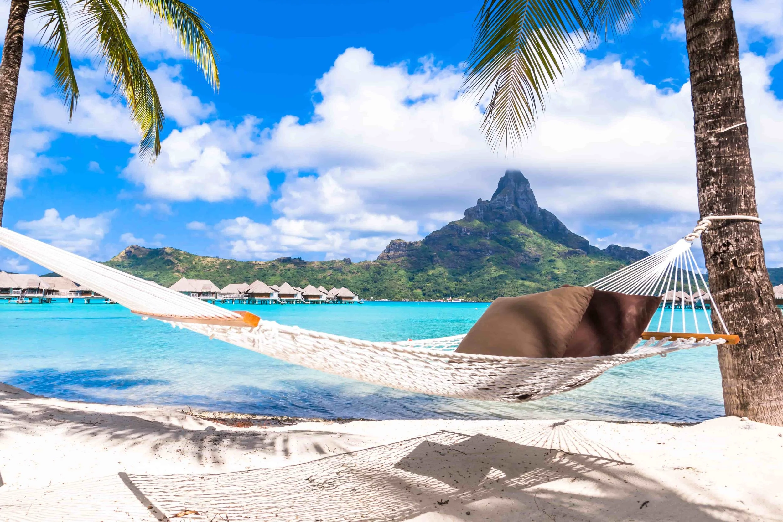 The Marketing Budget That Vanished Without a Trace