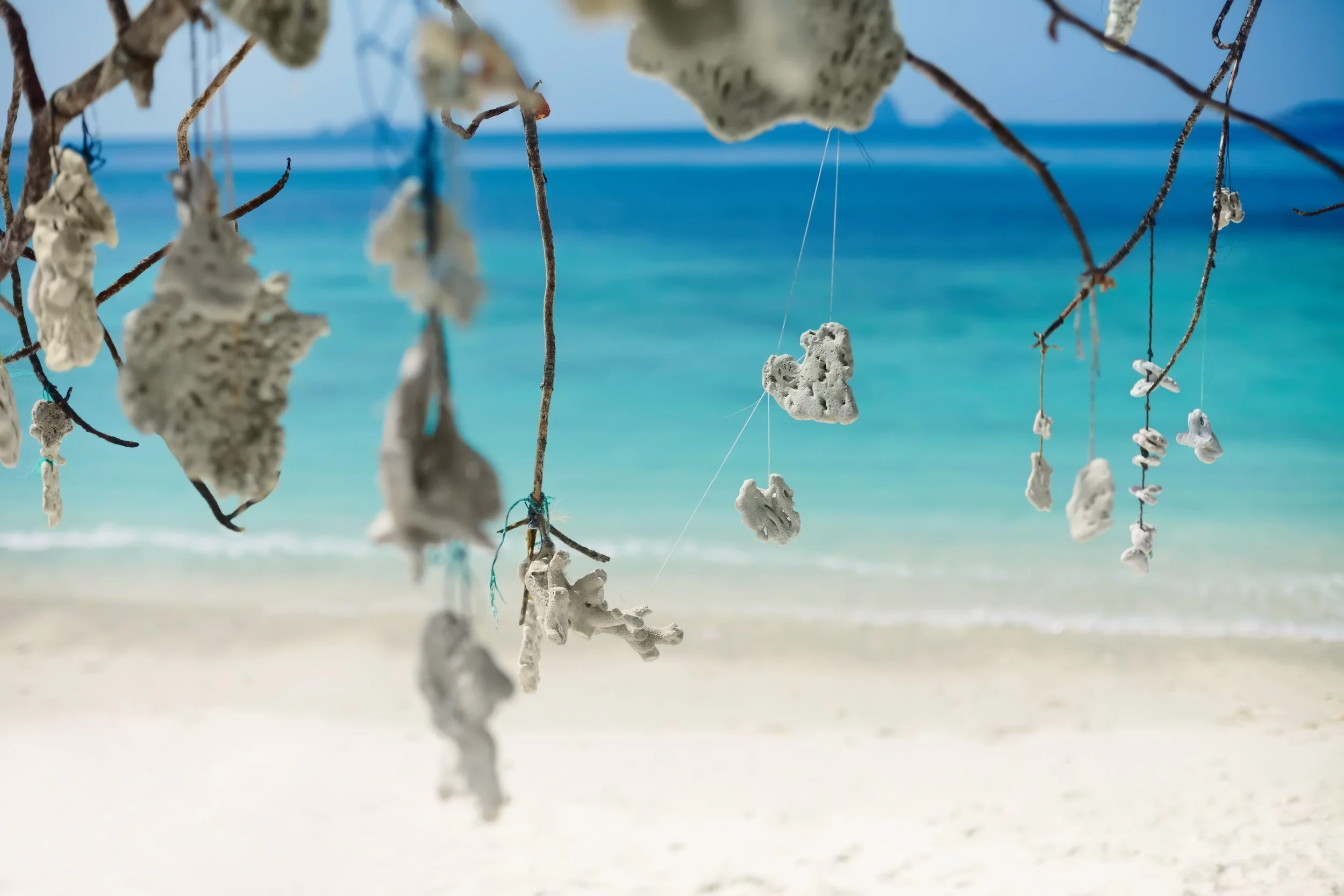 The Brief That Killed the PR Campaign