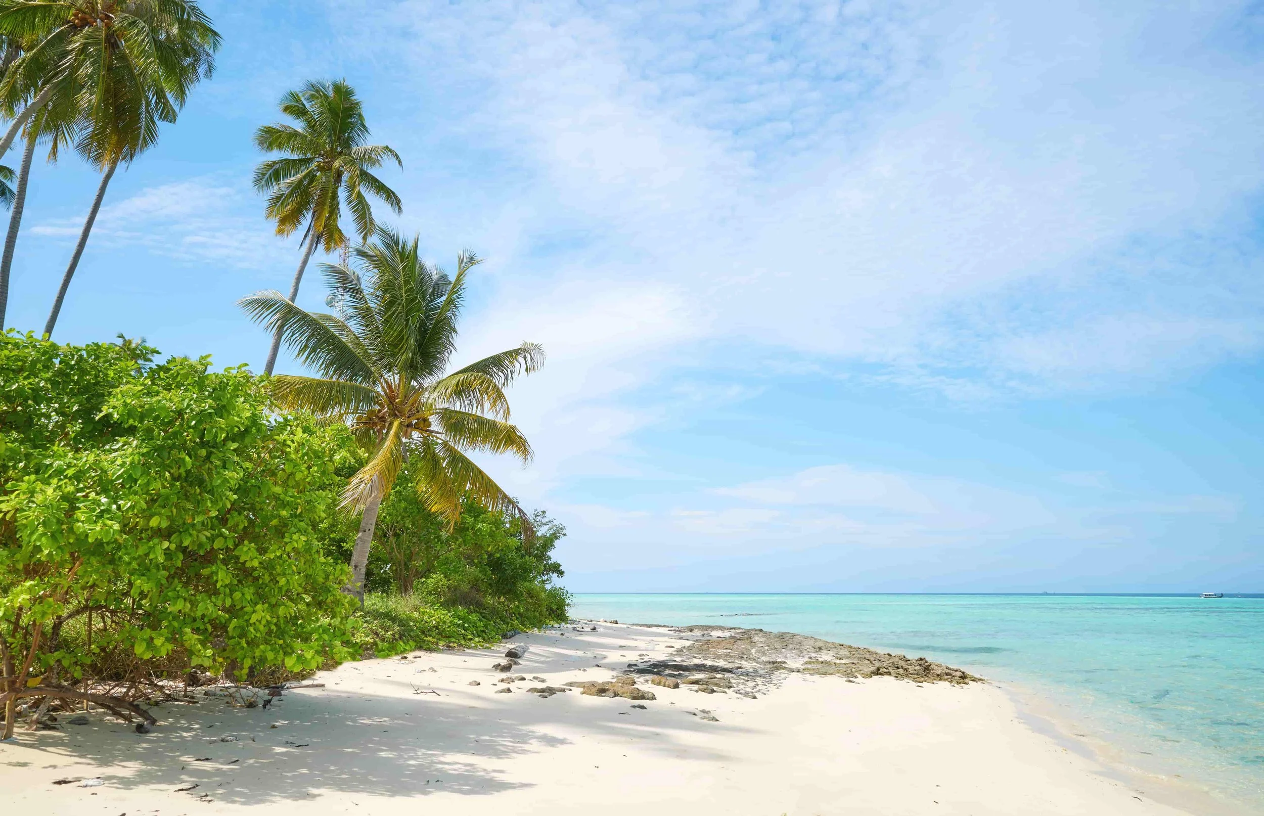 We Read 100 Romanian Company Websites. Here Is What We Found.