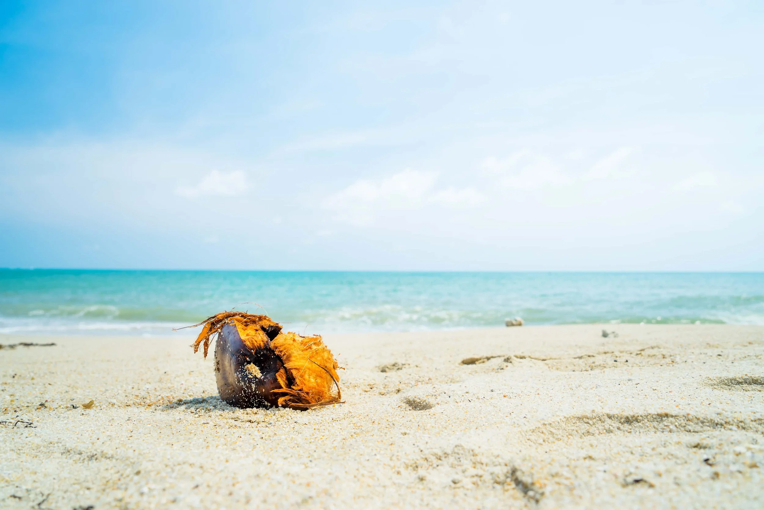 How to prepare your company for potential crisis situations