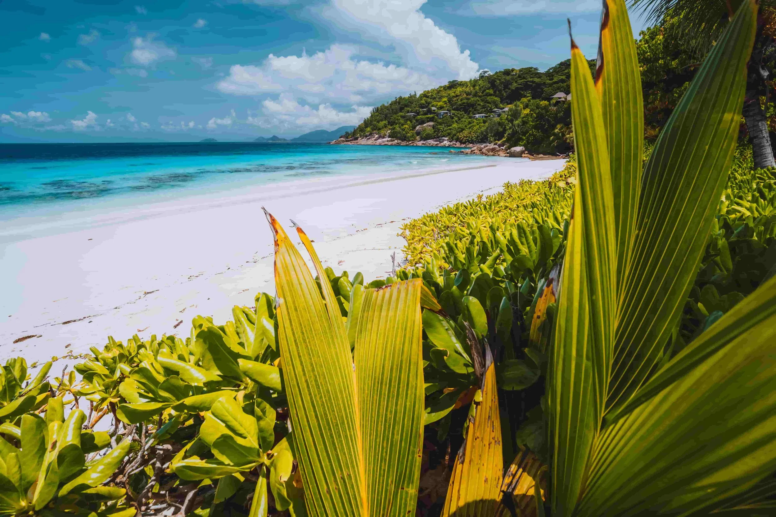 When the Economy Contracts, Communication Cannot.