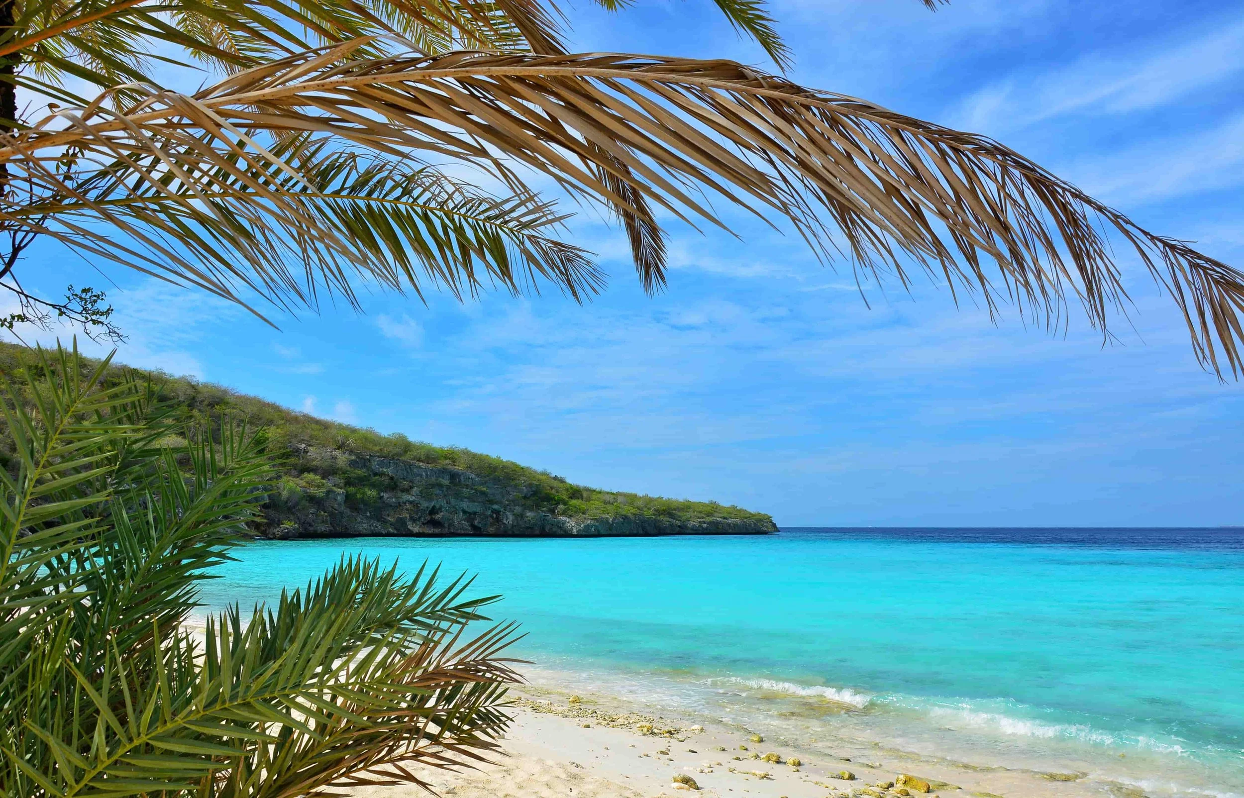 Why the Next CEO Should Come From Marketing