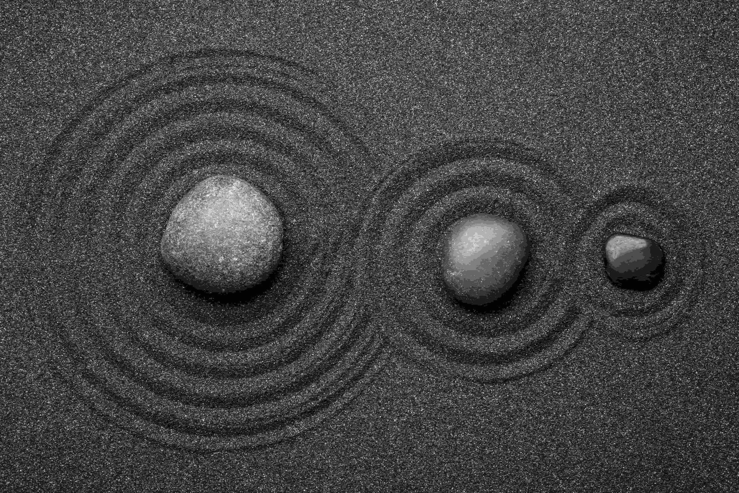 The Middle Circle — Where Reputation Becomes Currency