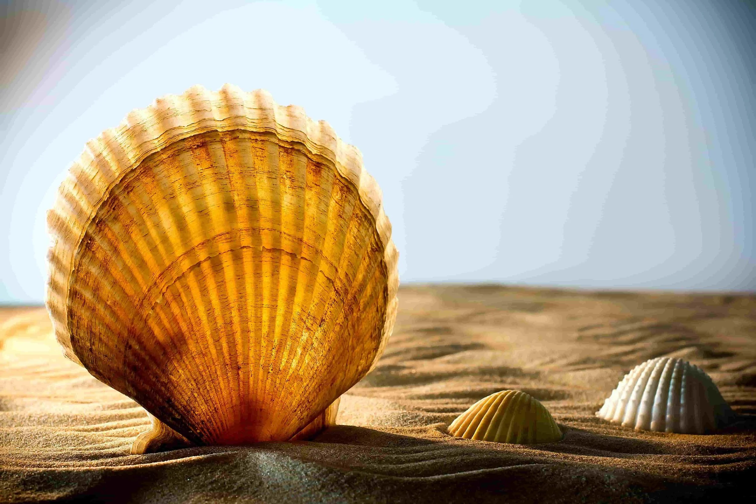 Most PR Agencies Can't Launch Across Europe at Once. We Can.