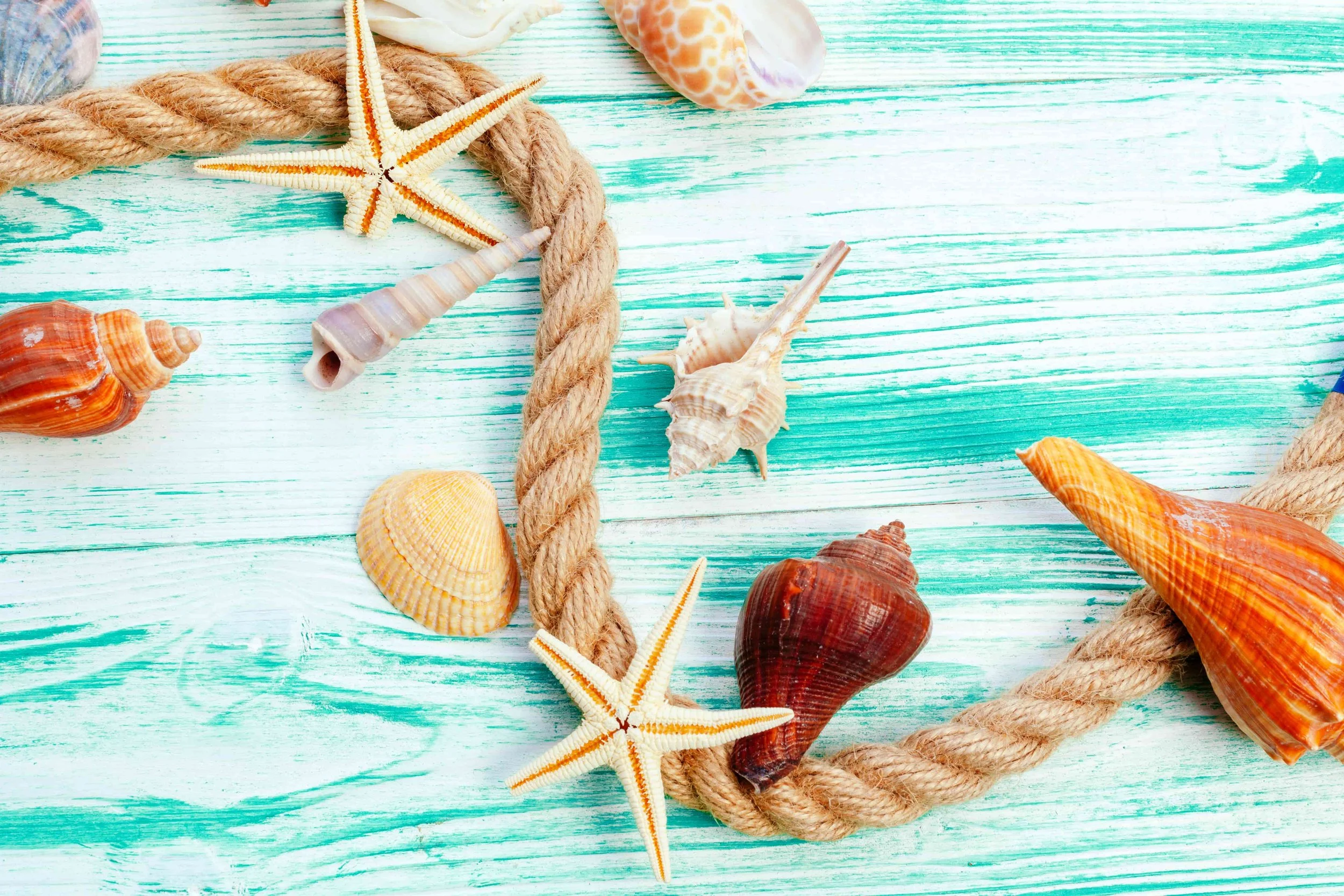 UX Website Design SEO SEM GEO AI