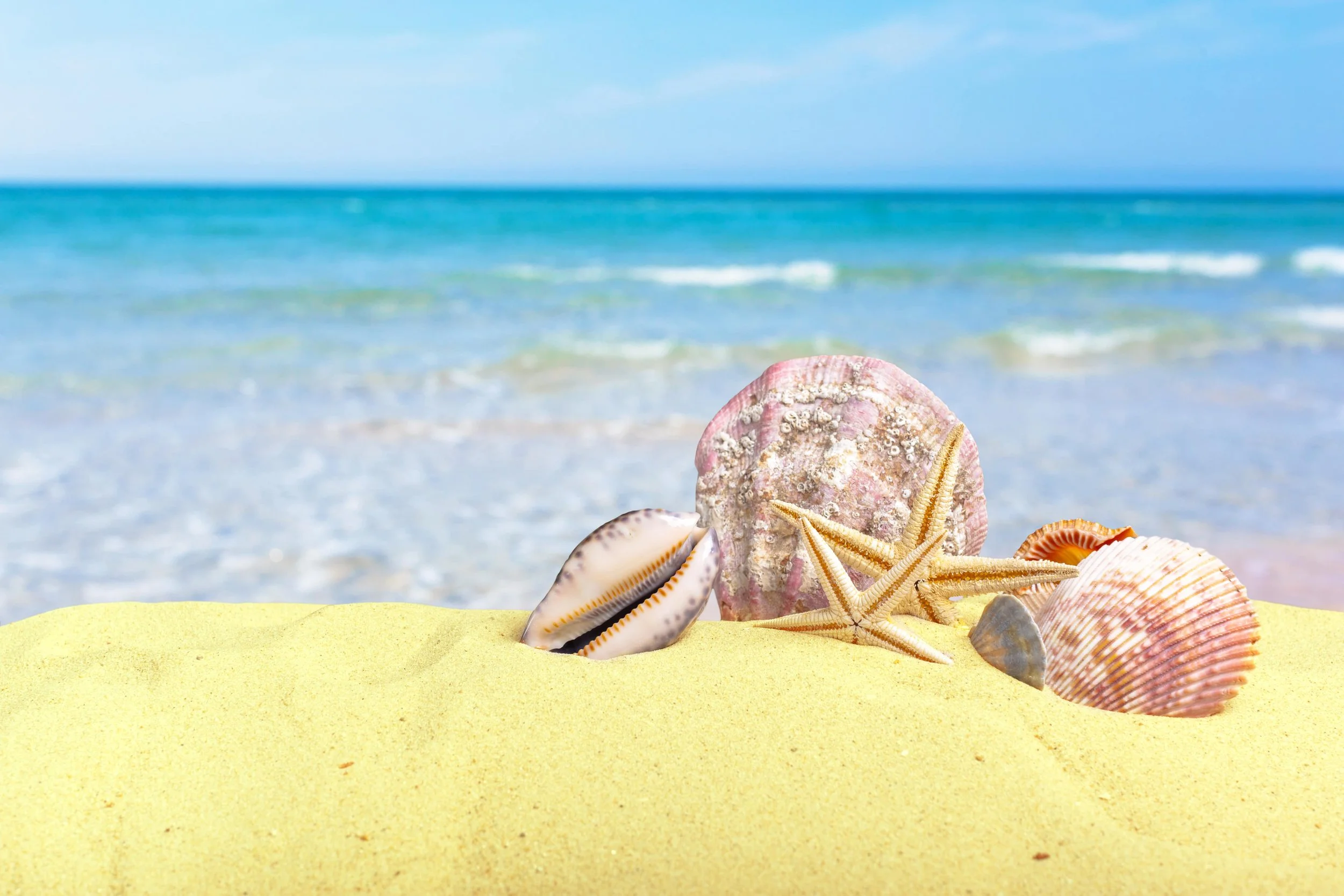 Integrated Digital Marketing Campaigns from Lighthouse PR