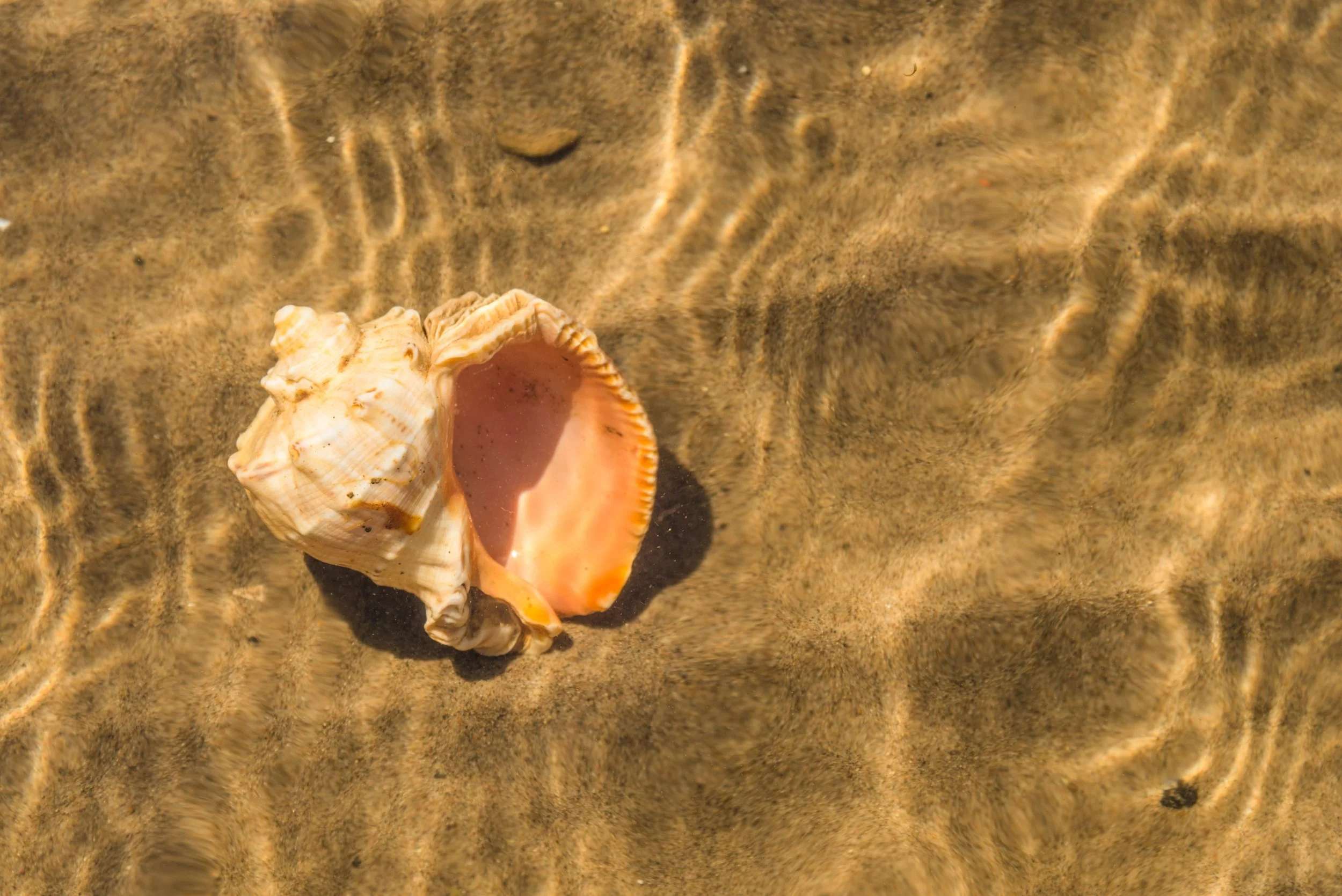 The brief most PR agencies cannot handle