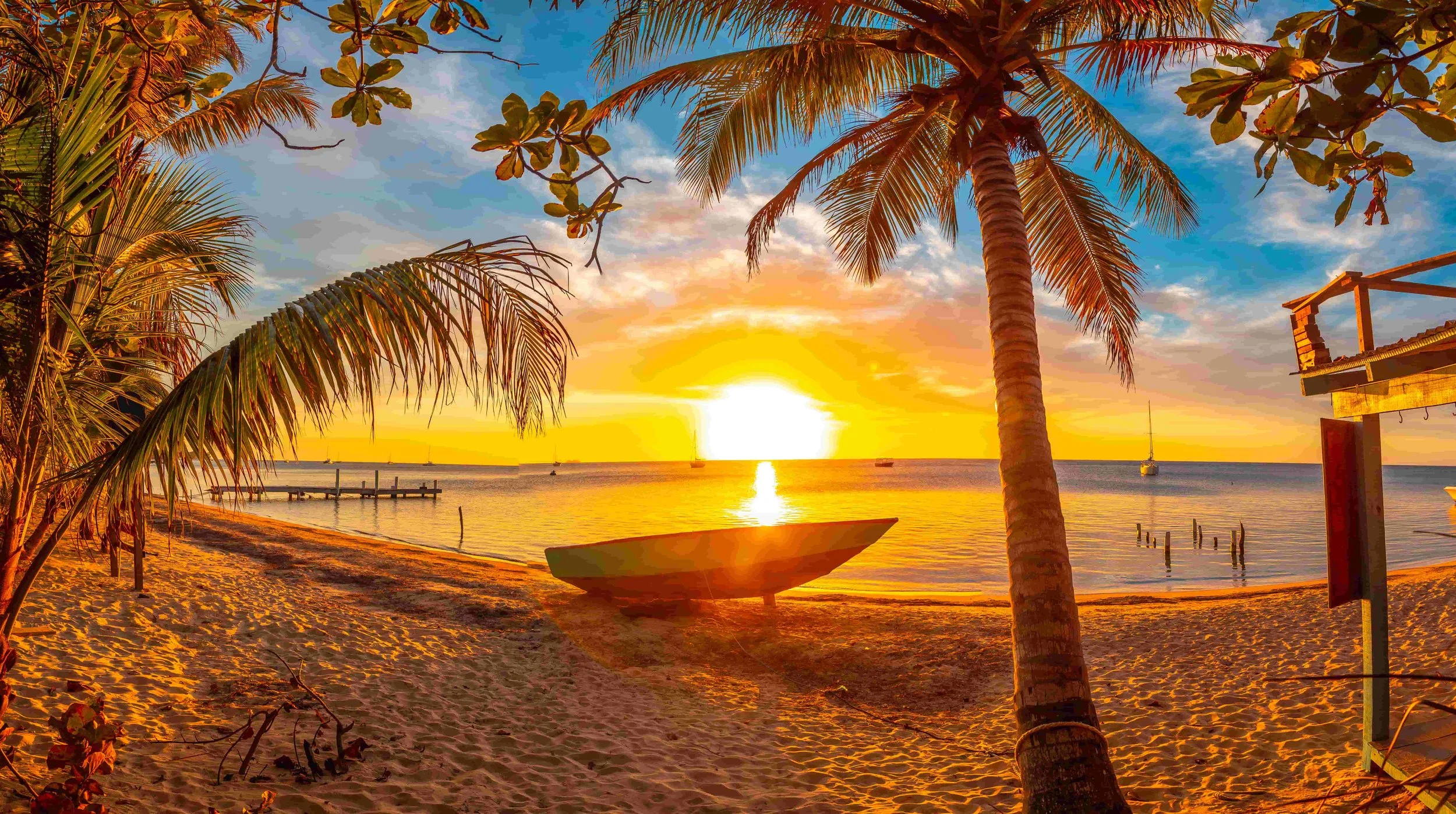 Paradise working with Lighthouse PR
