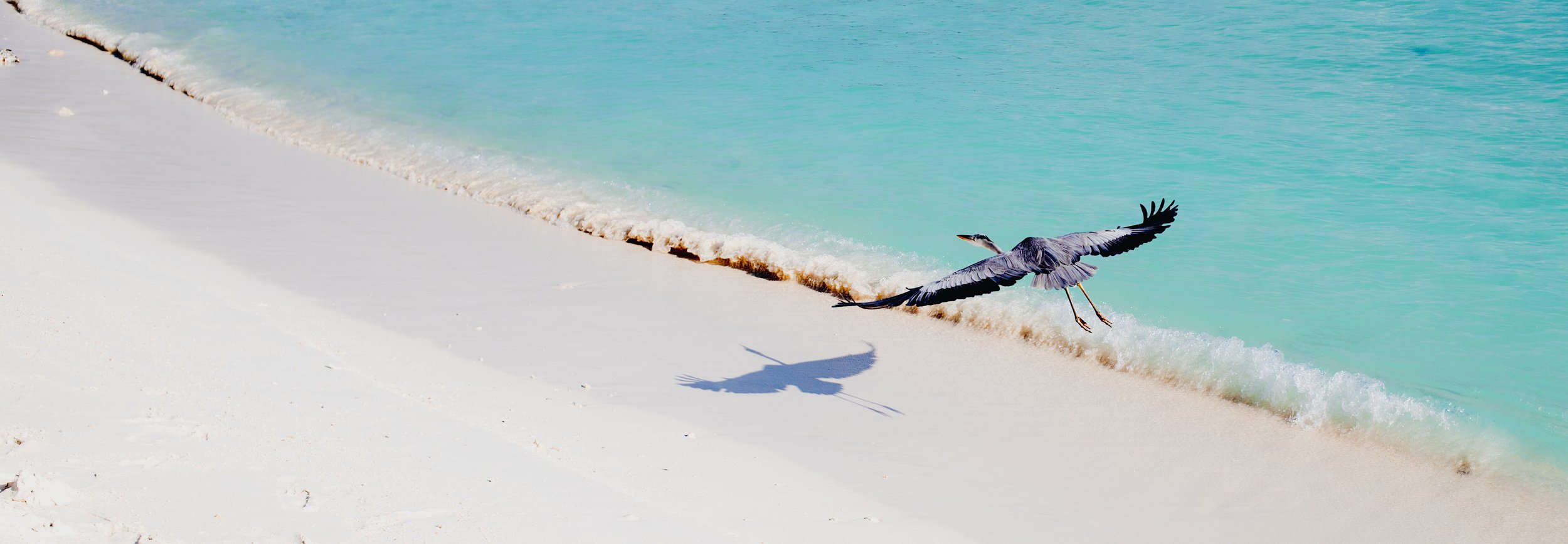 Social Media is Hard Work