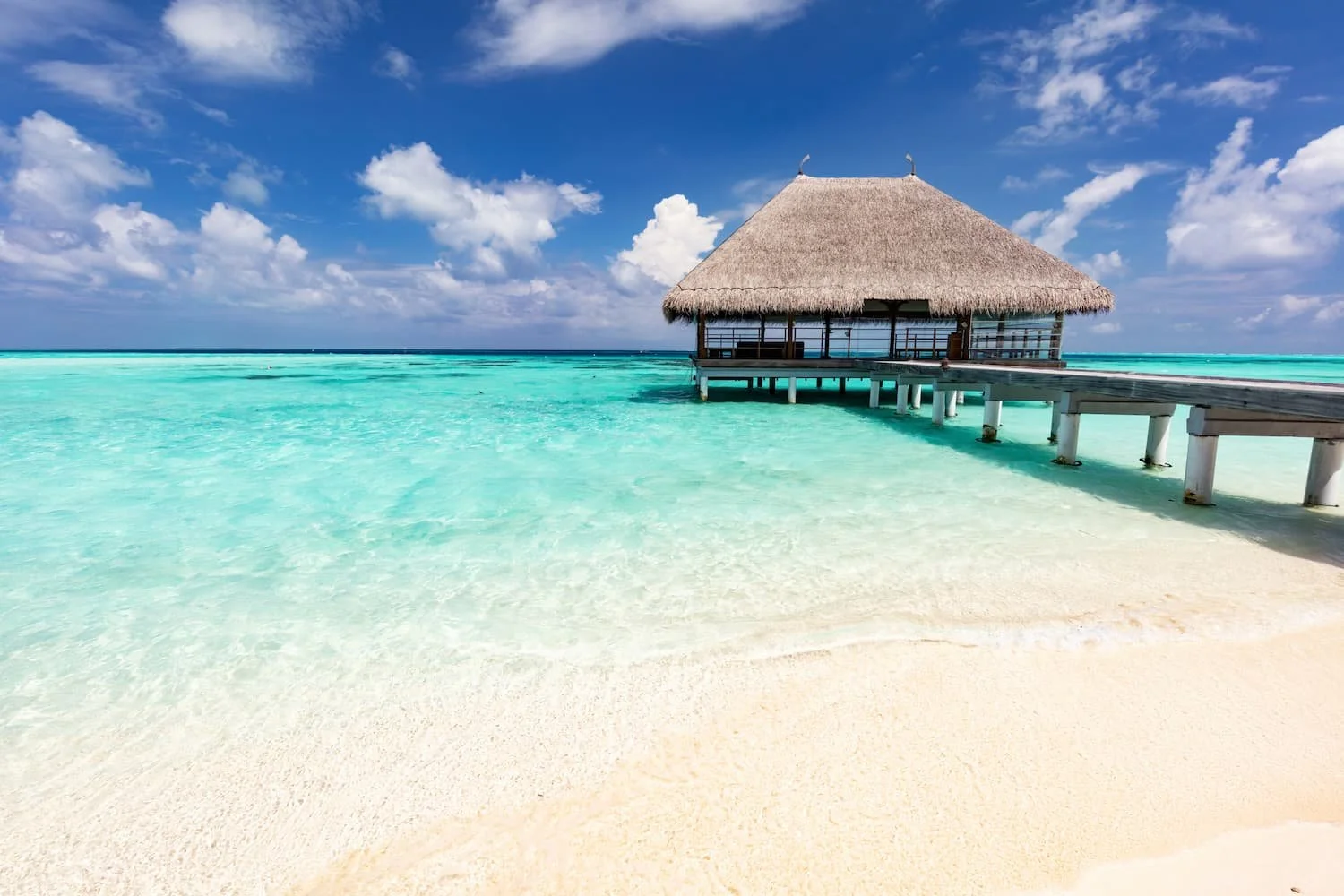 A team chosen for judgement as well as technical skill.