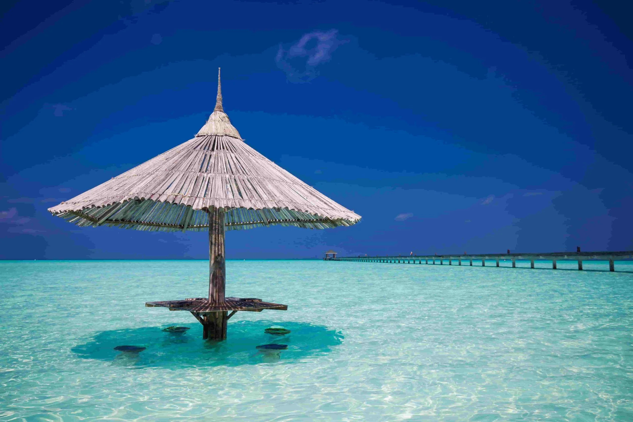 Why Europes most demanding organisations choose Lighthouse PR