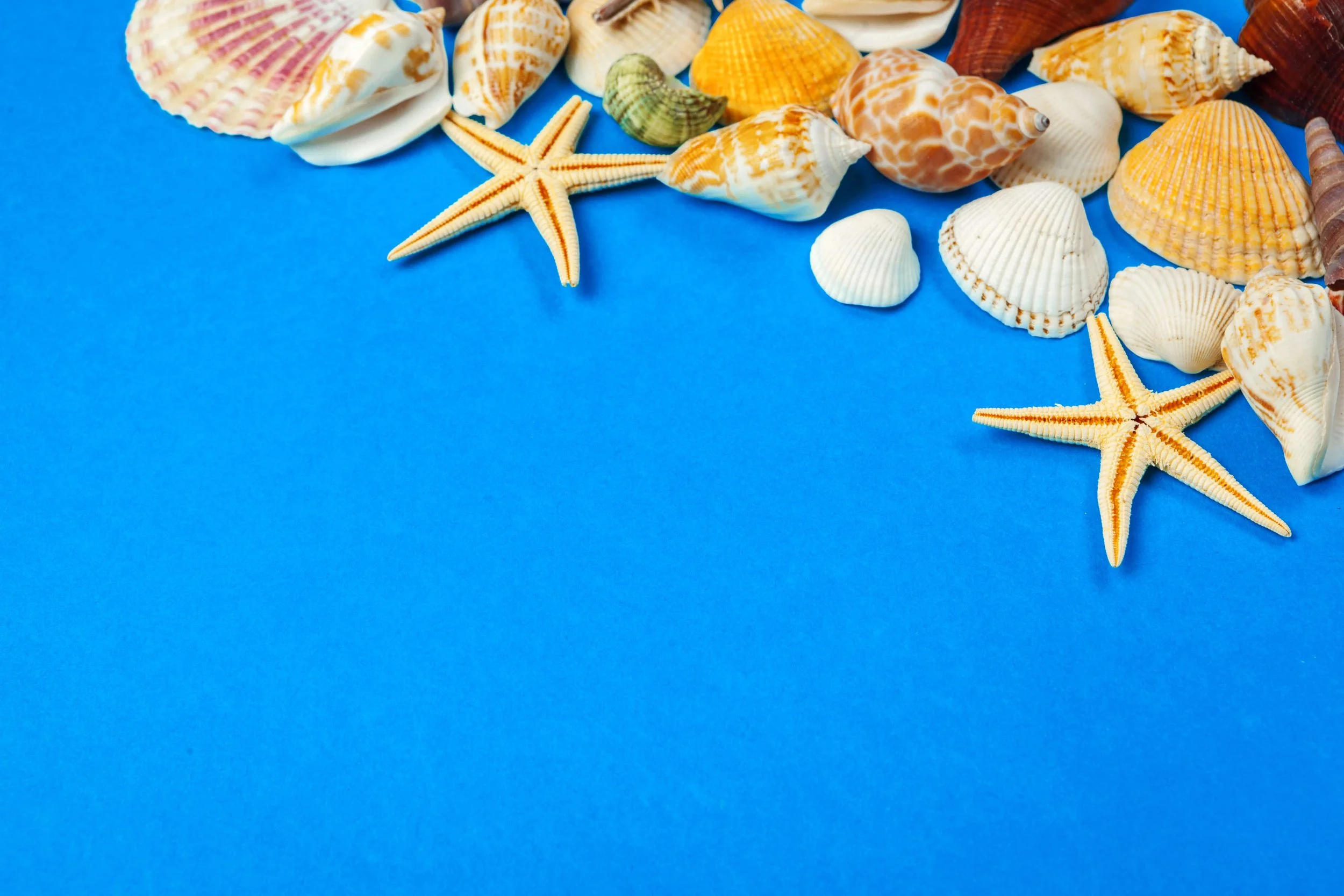 Lighthouse PR elevates your social media presence