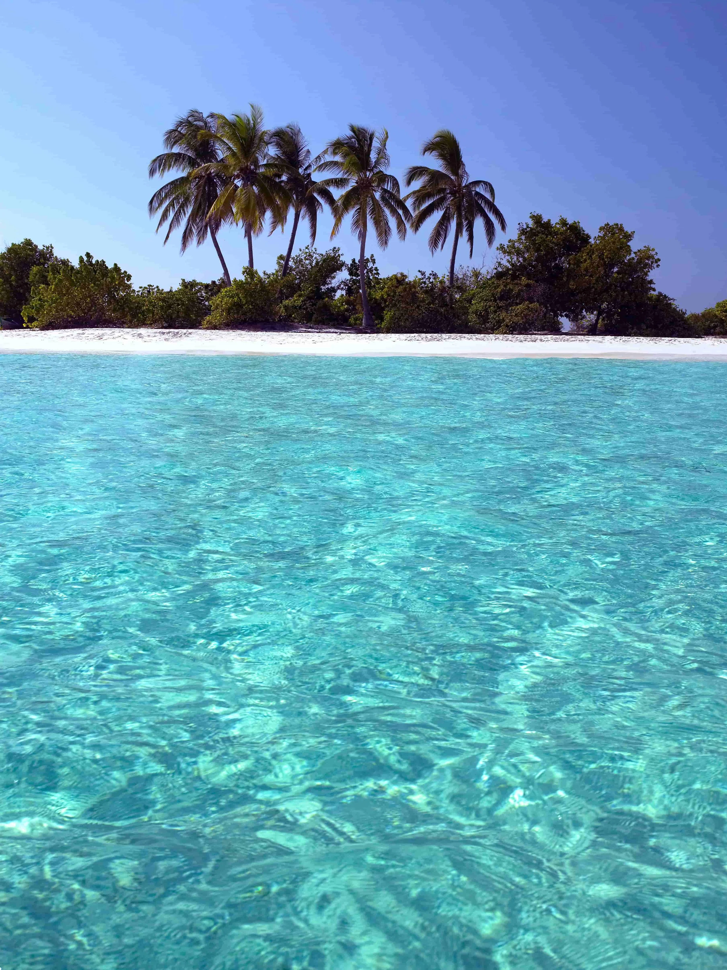 One strategy, co-ordinated across every comms discipline