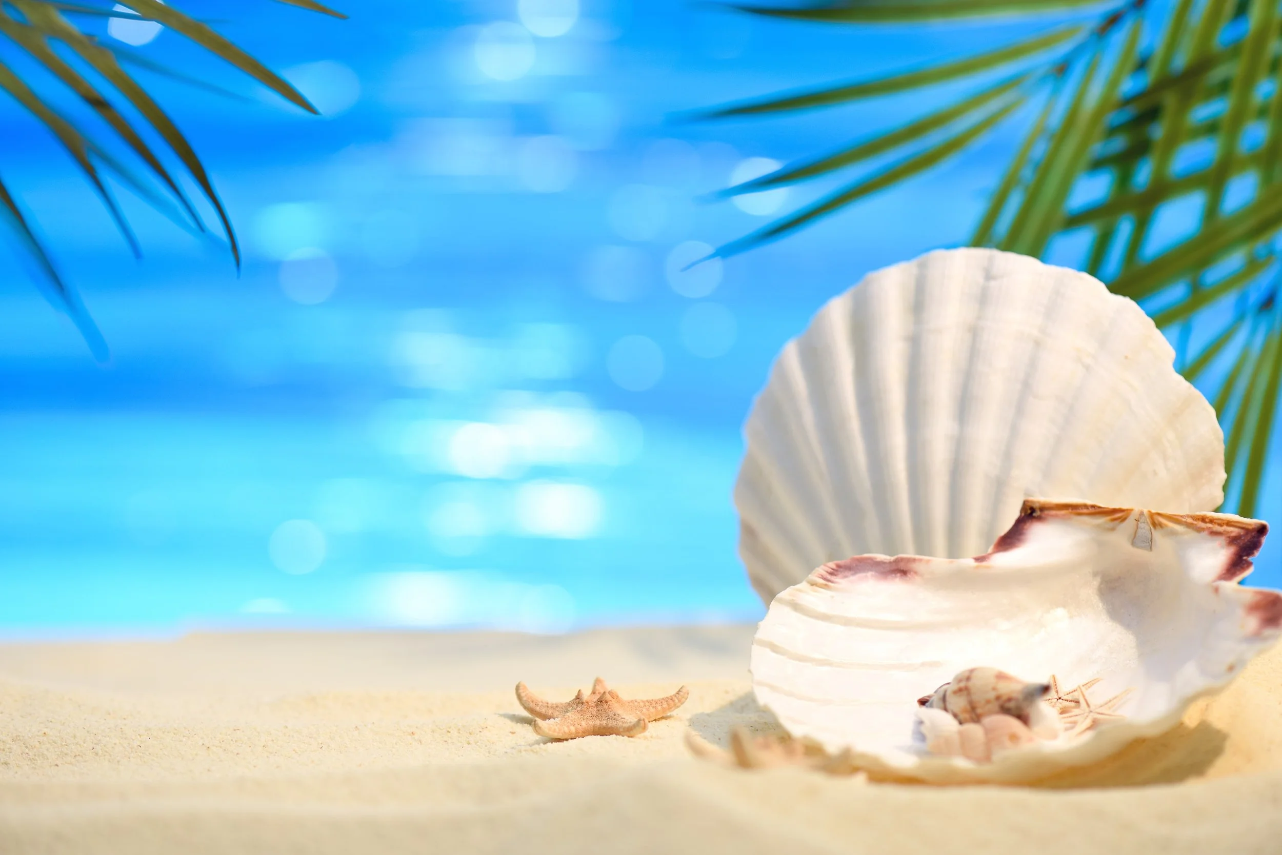 Corporate Event Servies